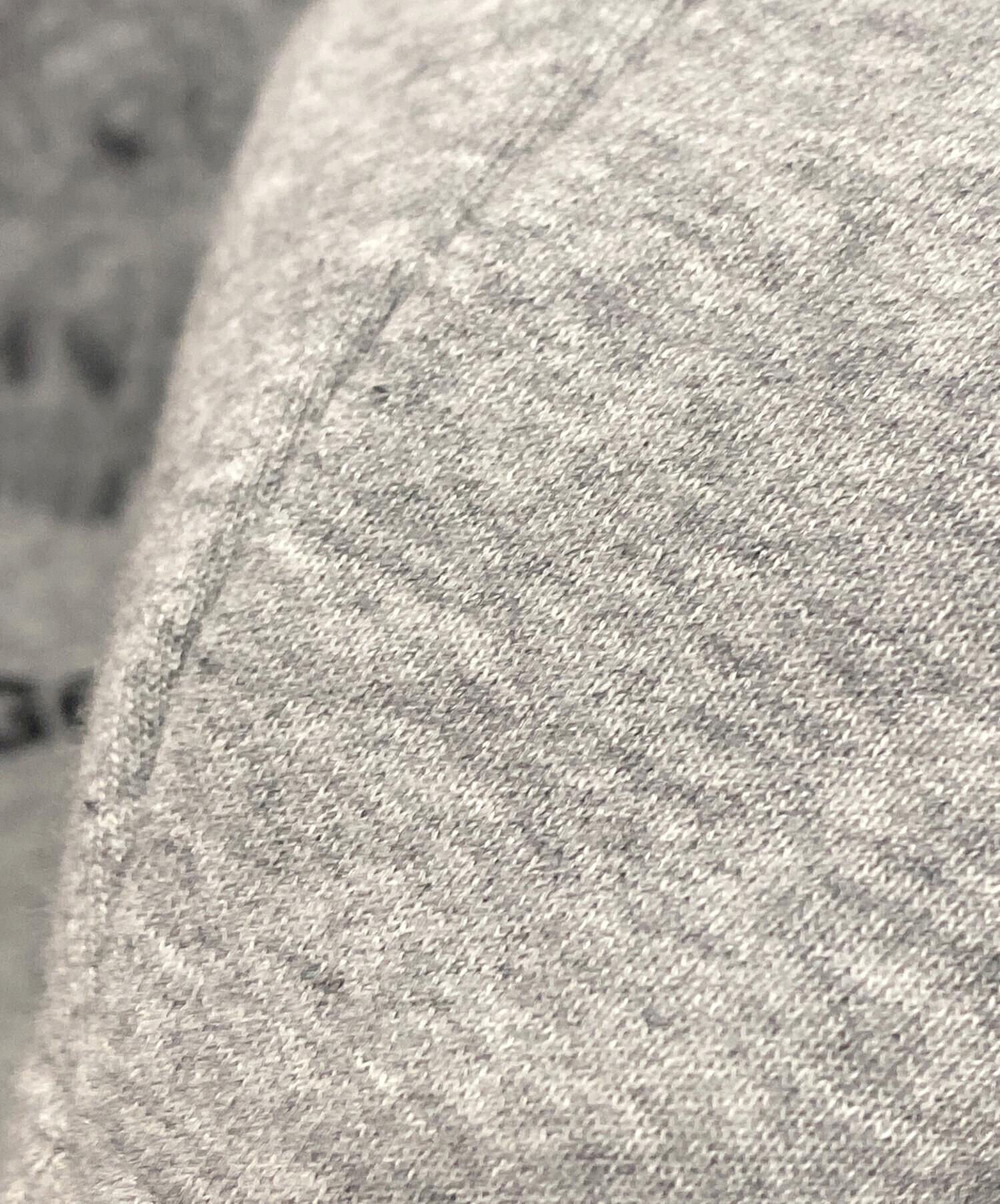 中古・古着通販】flowwwers (フラワーズ) Gerbera Dot sweat グレー 