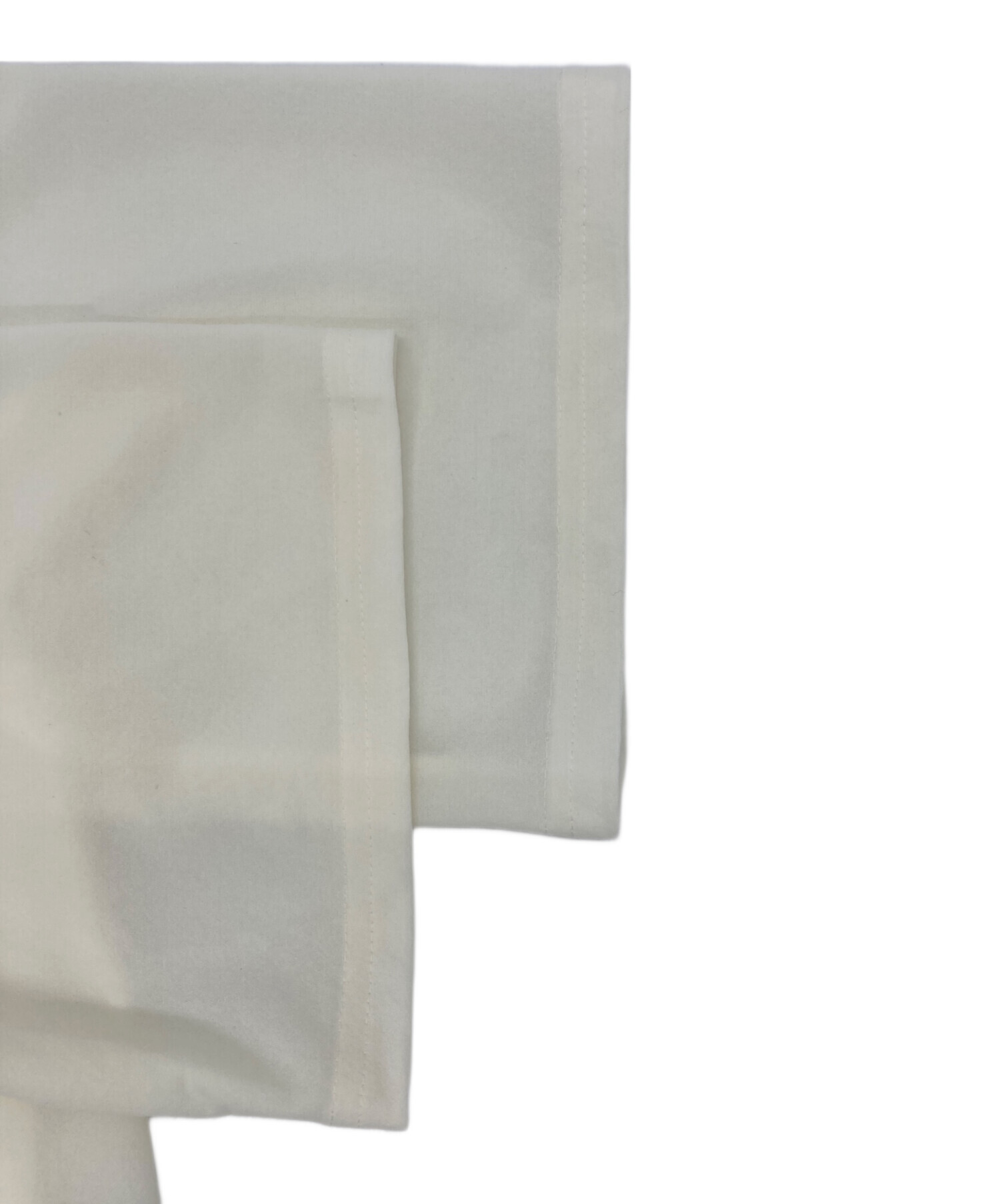 中古・古着通販】THINGS THAT MATTER (シングスザットマター) SHEER T 