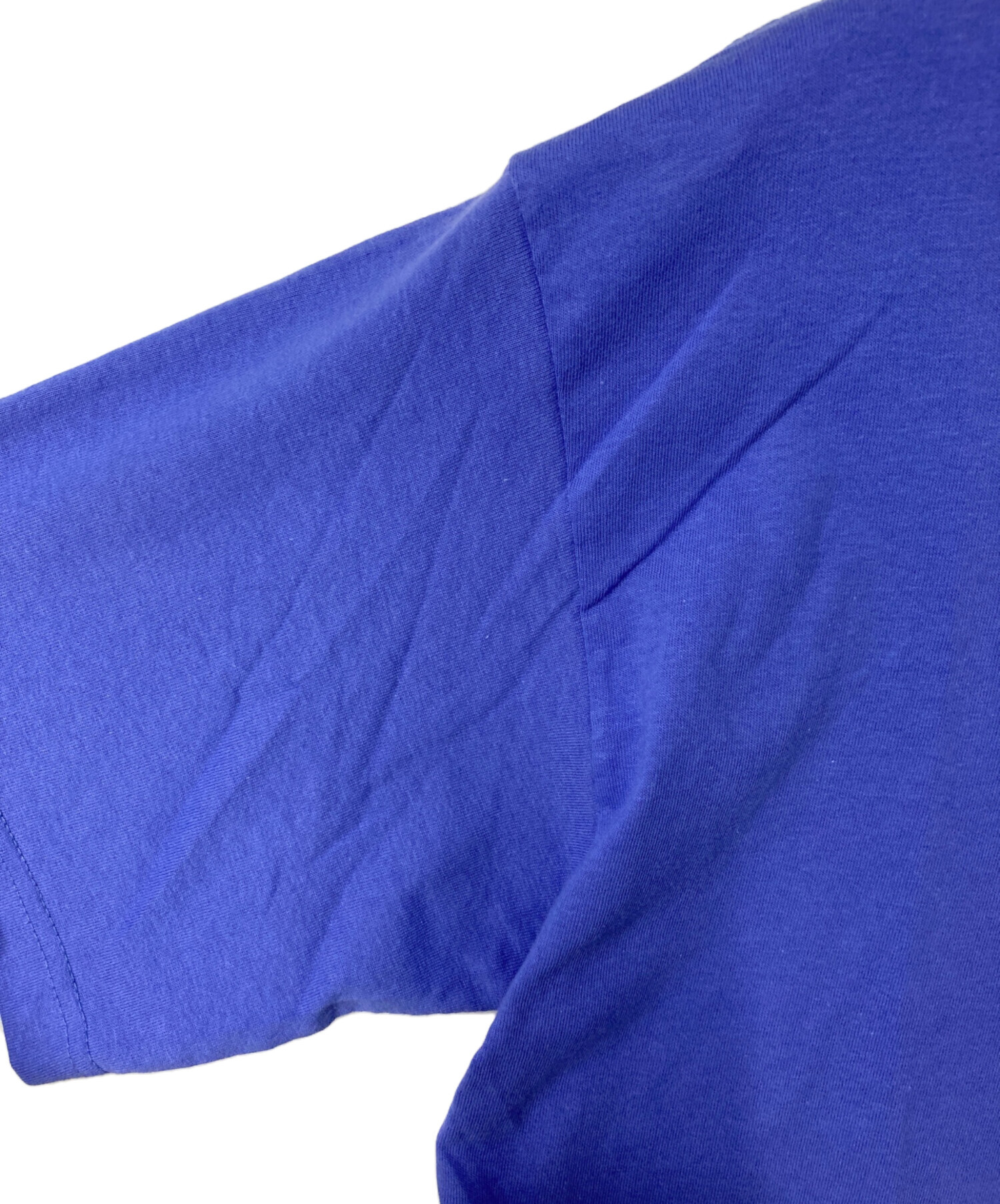 中古・古着通販】Patagonia (パタゴニア) プリントTシャツ ブルー 
