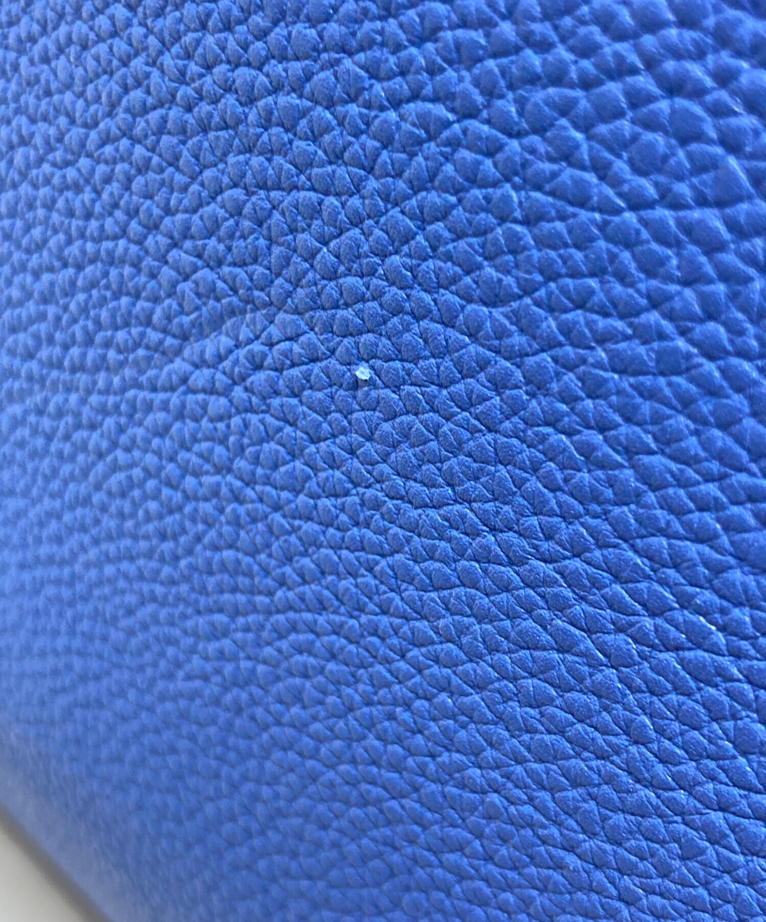 中古・古着通販】LOEWE (ロエベ) ゴヤ バックパック ブルー｜ブランド