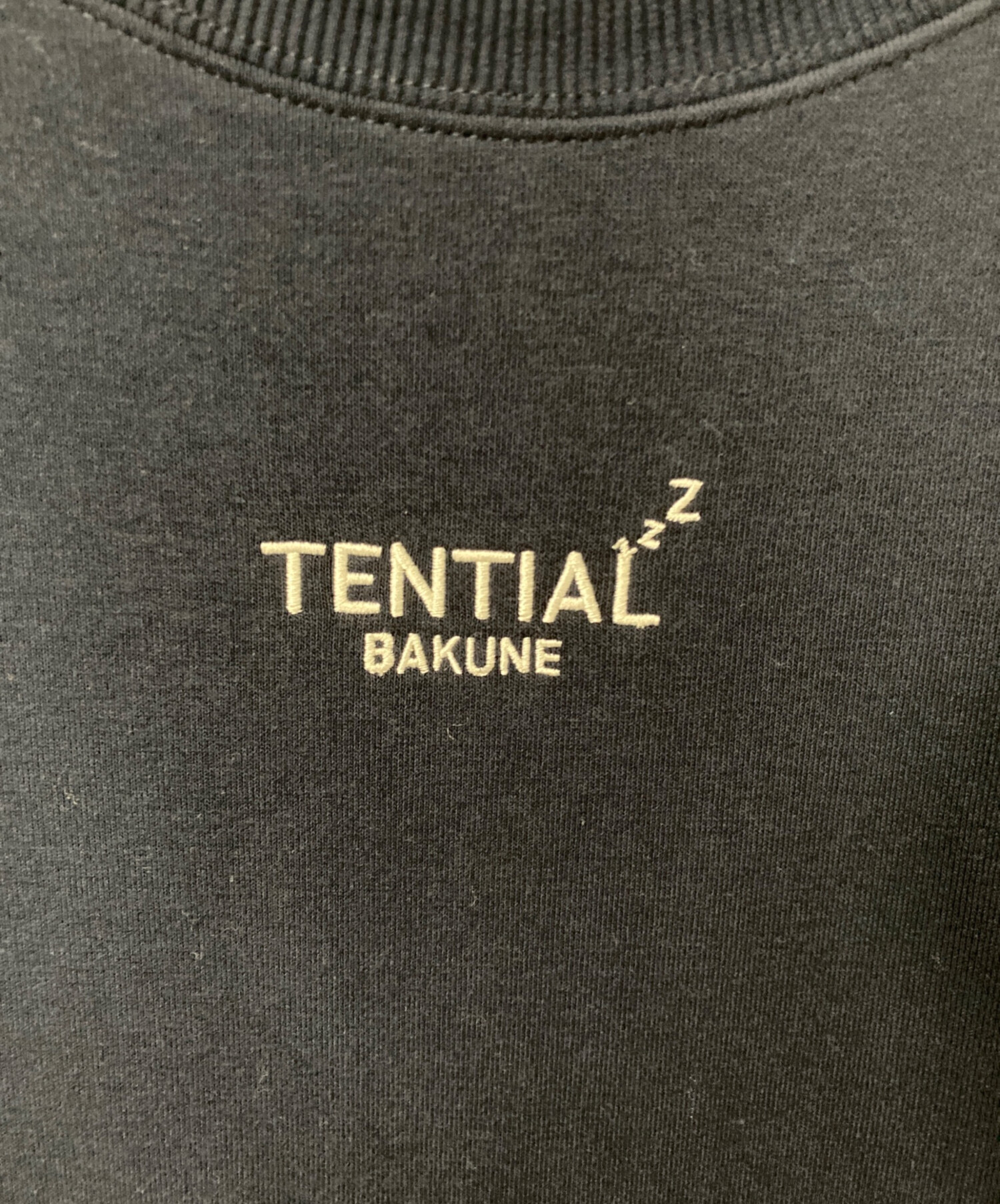 中古・古着通販】TENTIAL (テンシャル バクネ) ロングスリーブ