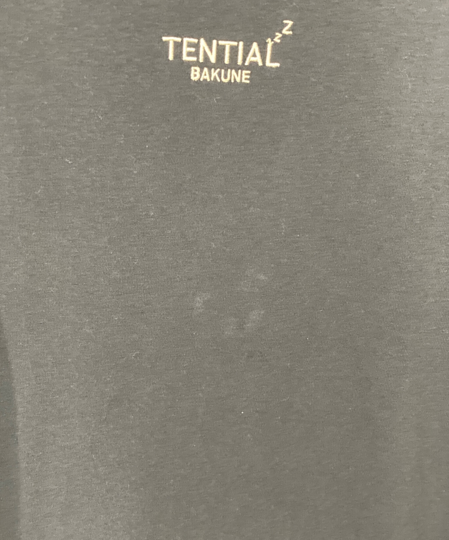 中古・古着通販】TENTIAL (テンシャル バクネ) ロングスリーブ