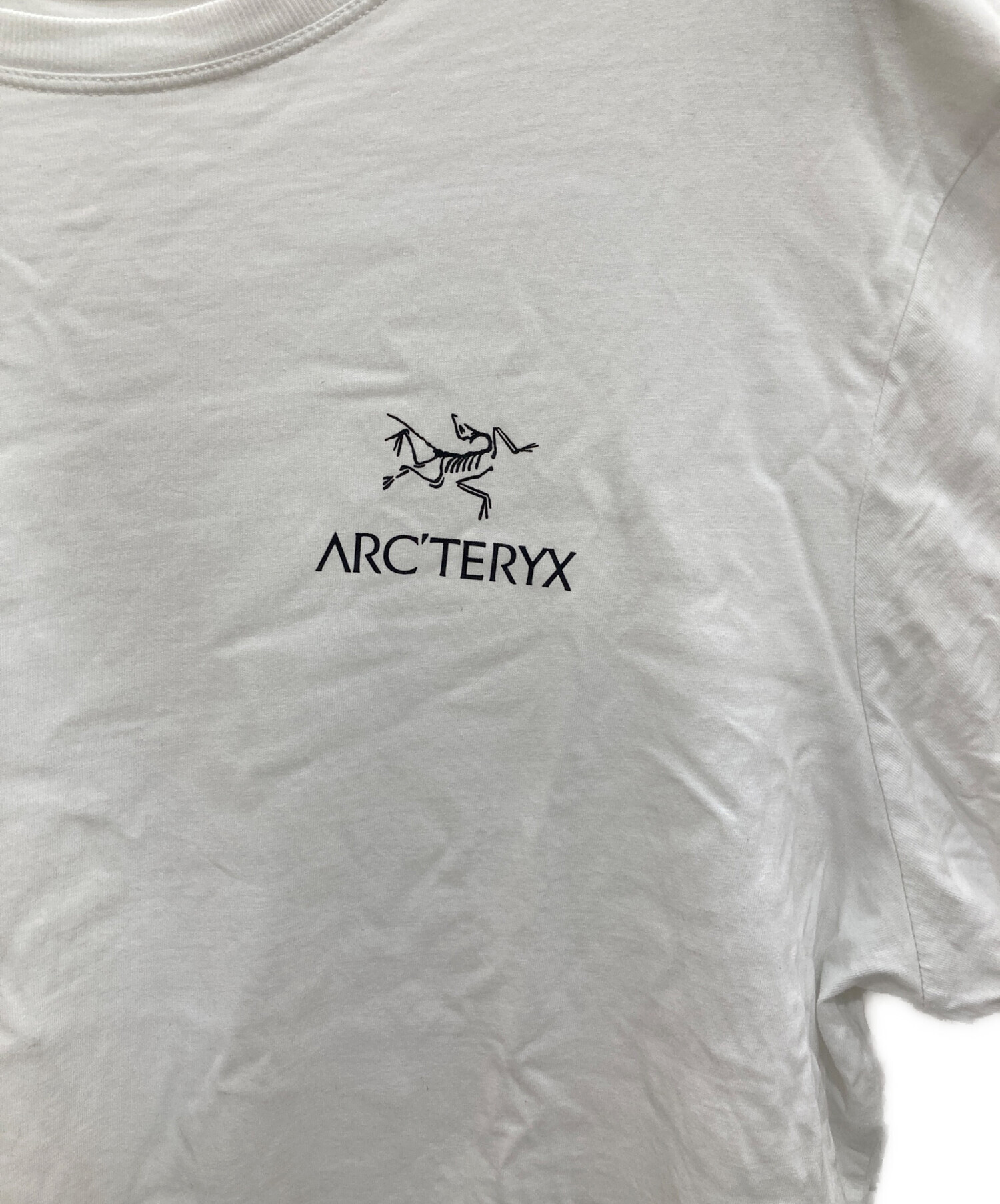 アークテリクス スプリット Tシャツ 希少XXL】arc'teryx Split SS T