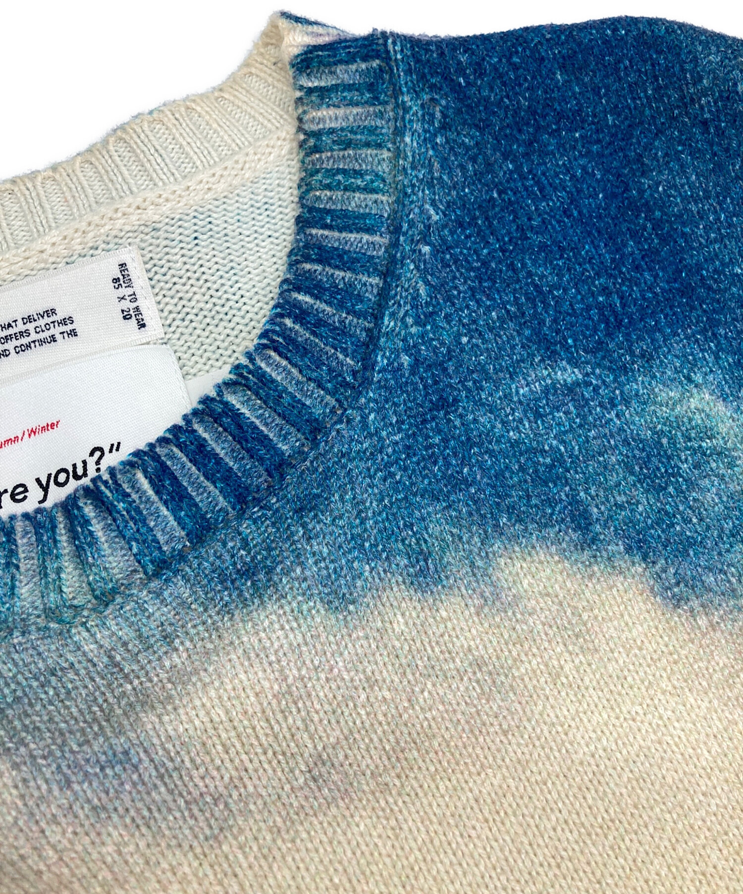 中古・古着通販】DAIRIKU (ダイリク) 18SS Photo Pullover Knit/18SS 