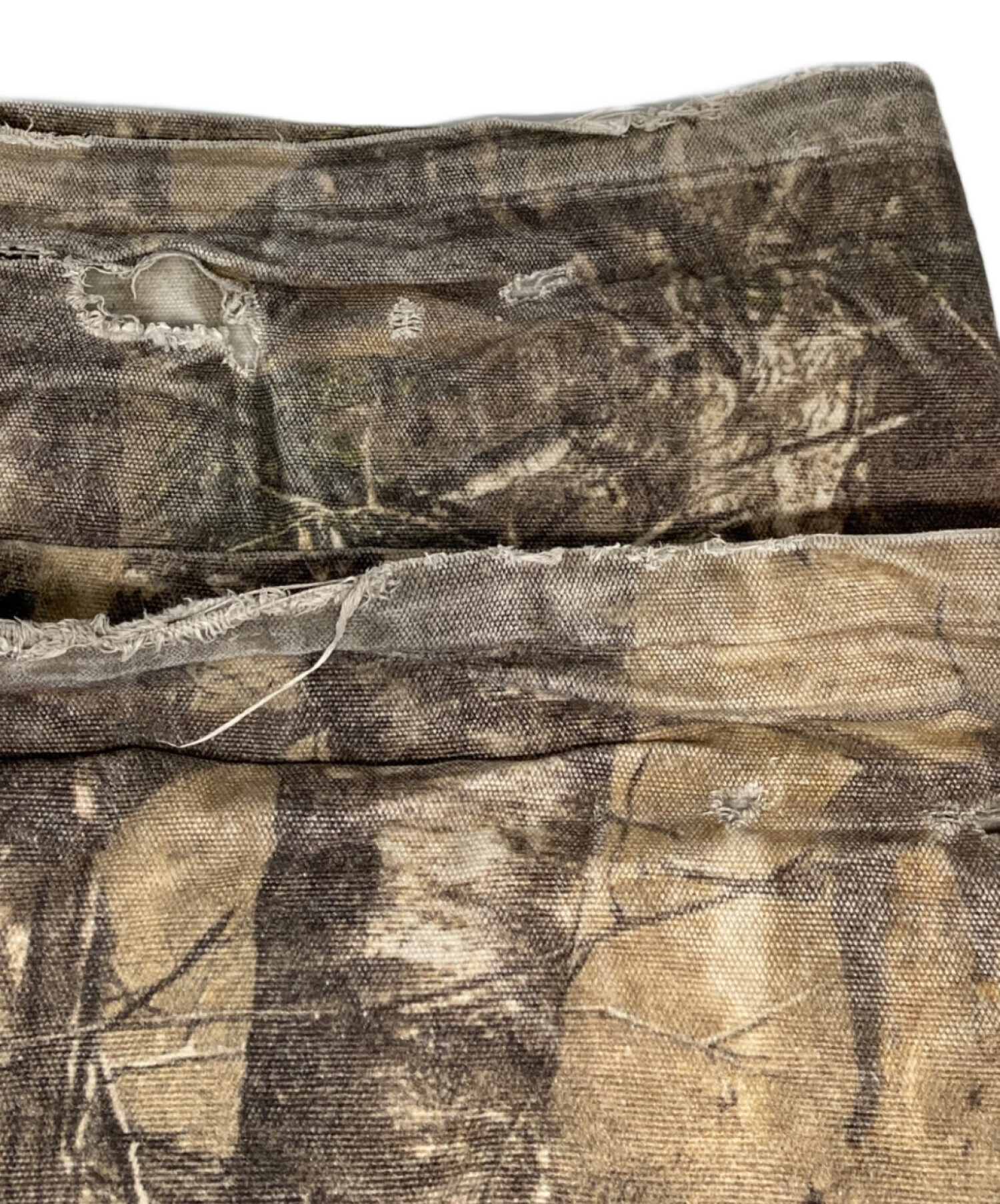 camphor wood wide baggy real tree