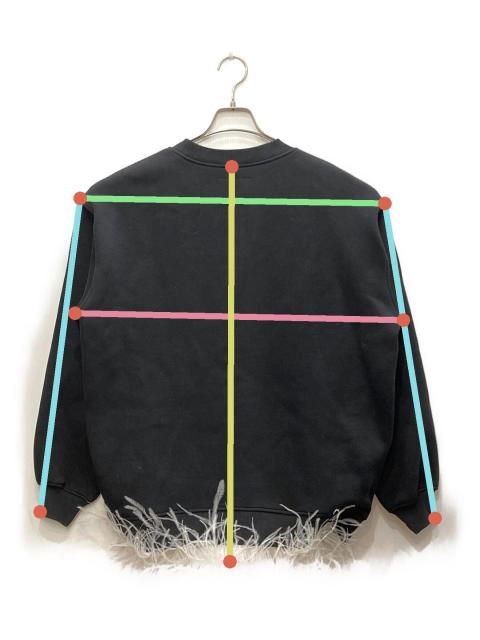 中古・古着通販】eimy istoire (エイミーイストワール) フェザーヘム