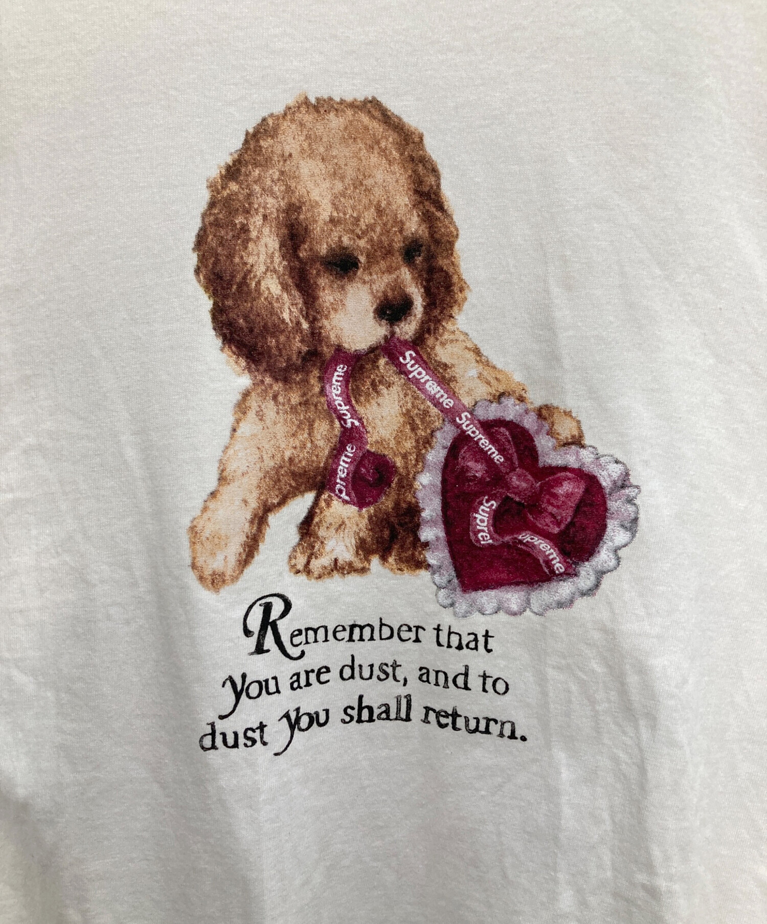 中古・古着通販】SUPREME (シュプリーム) Dust Tee ホワイト サイズ:L