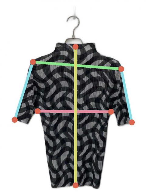 中古・古着通販】PLEATS PLEASE (プリーツプリーズ) 総柄プリーツ