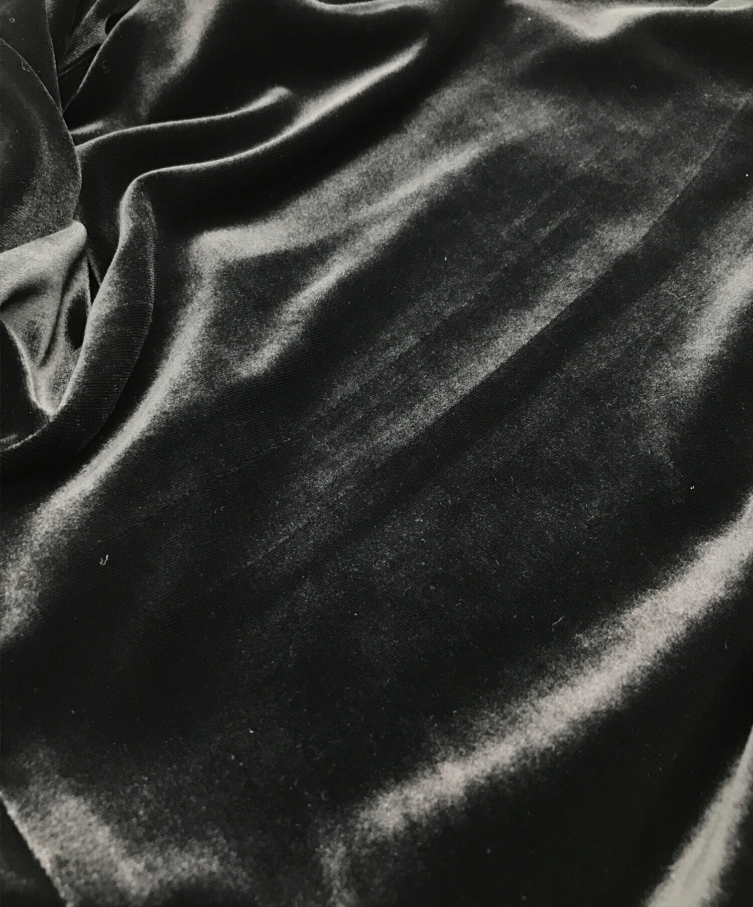 中古・古着通販】OHGA (オオガ) ベロア裾フリルブラウス ブラック