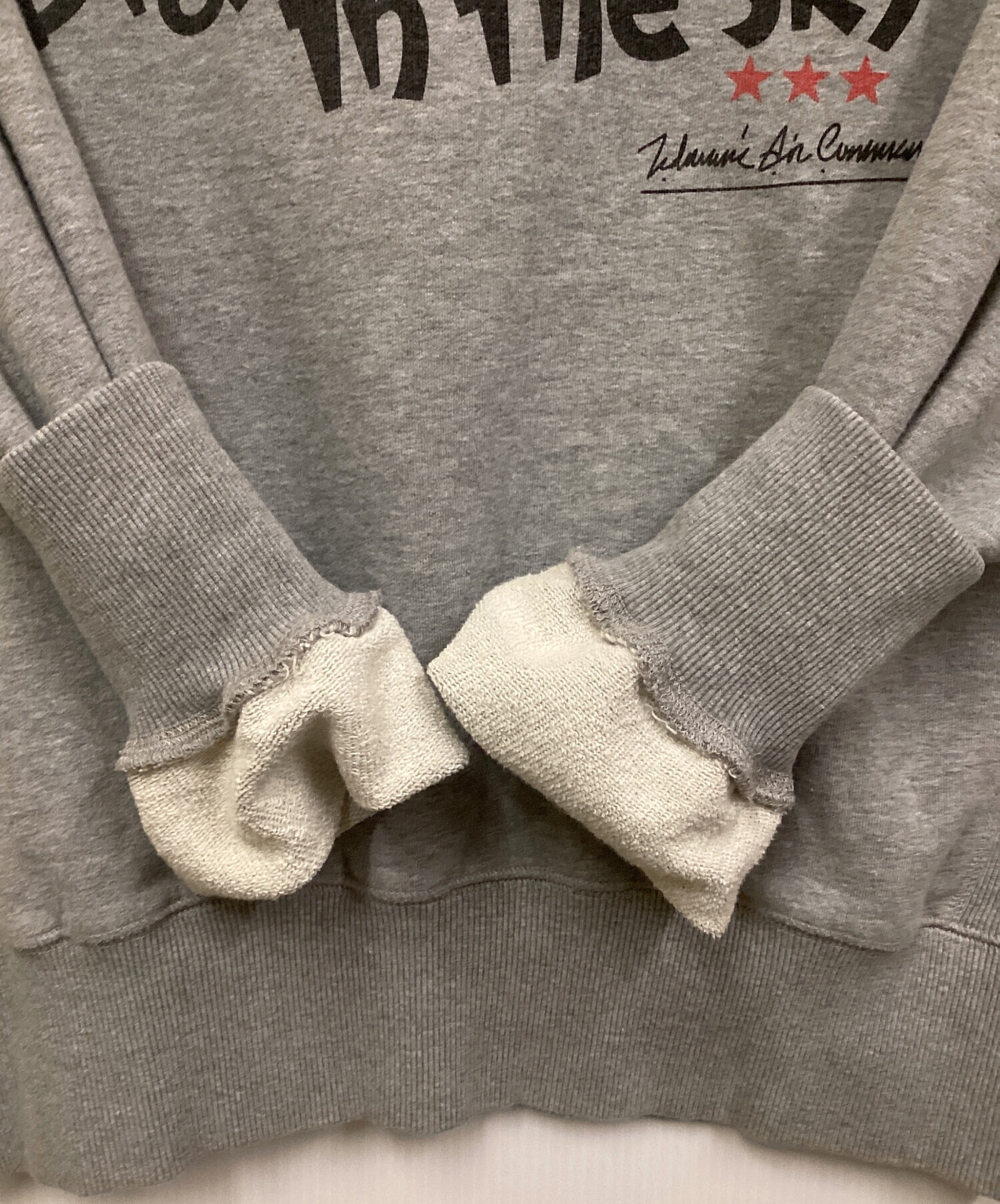 中古・古着通販】TED COMPANY (テッドカンパニー) 赤鬼デビルクルー