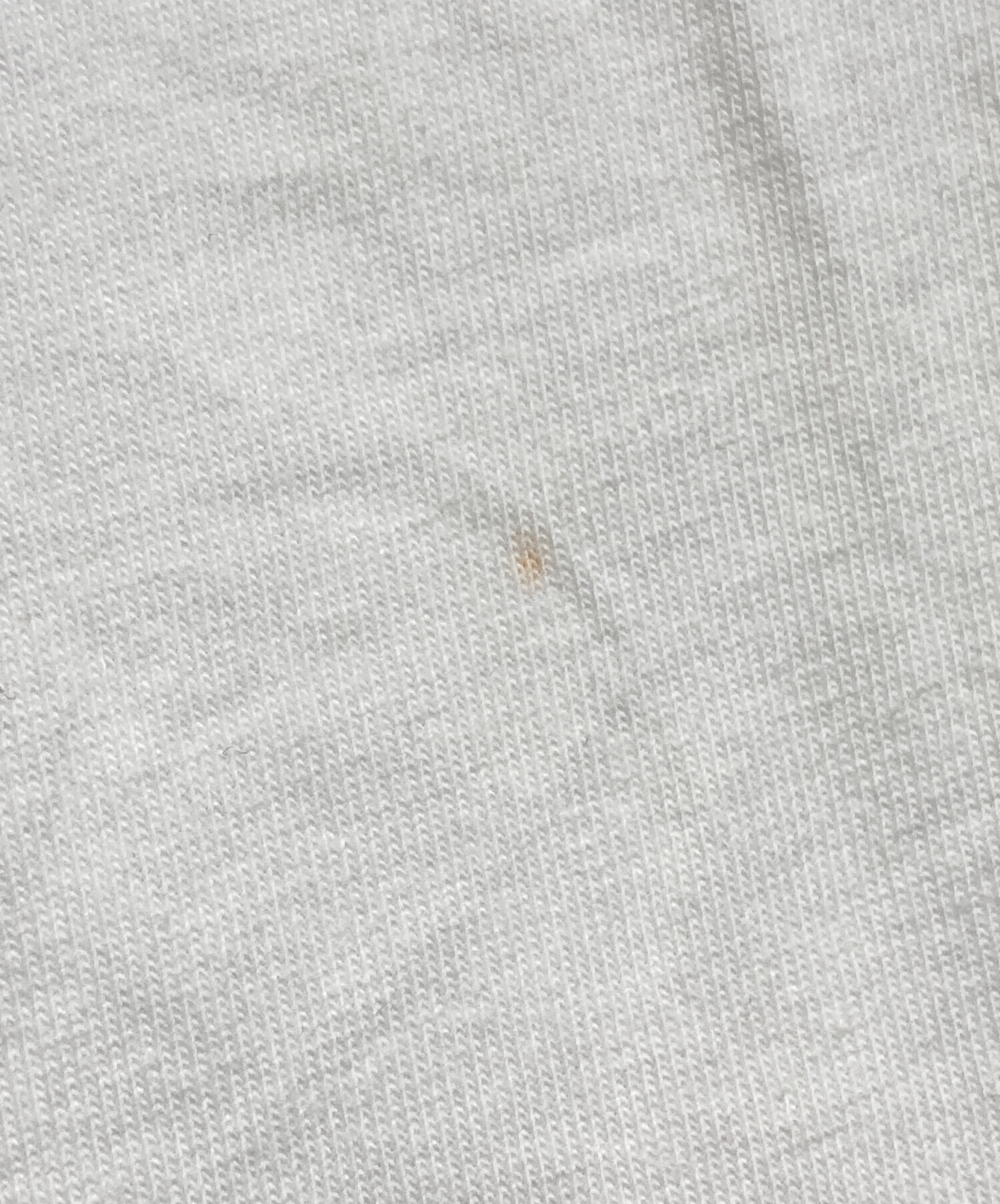 中古・古着通販】Eaphi (エフィ) EMBROIDERY SHORT SLEEVE SHIRTS/T