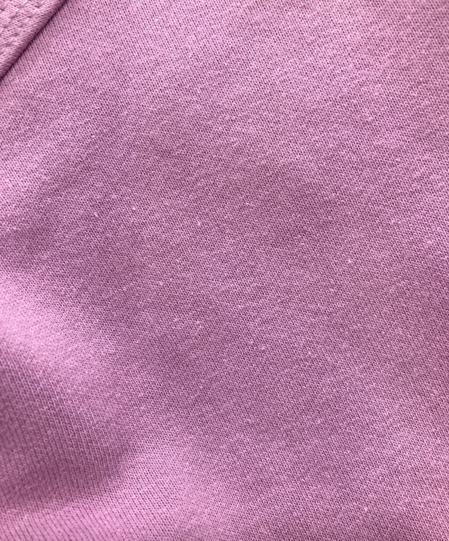 中古・古着通販】stussy (ステューシー) 裏起毛プルオーバーパーカー