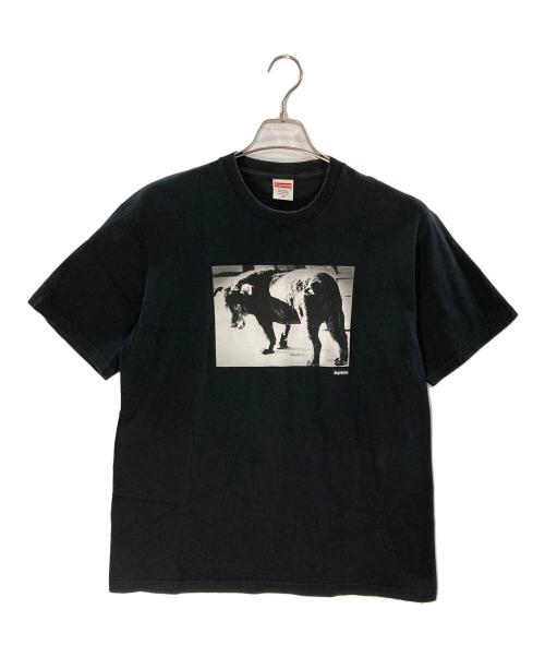 中古・古着通販】SUPREME (シュプリーム) Daido Moriyama Dog Tee 
