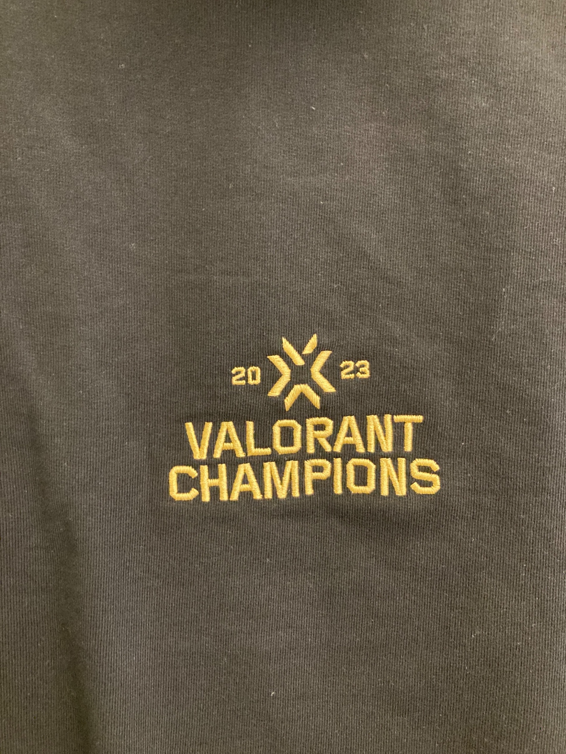 中古・古着通販】vaultroom (ボルトルーム) VALORANT CHAMPIONS HOODIE 