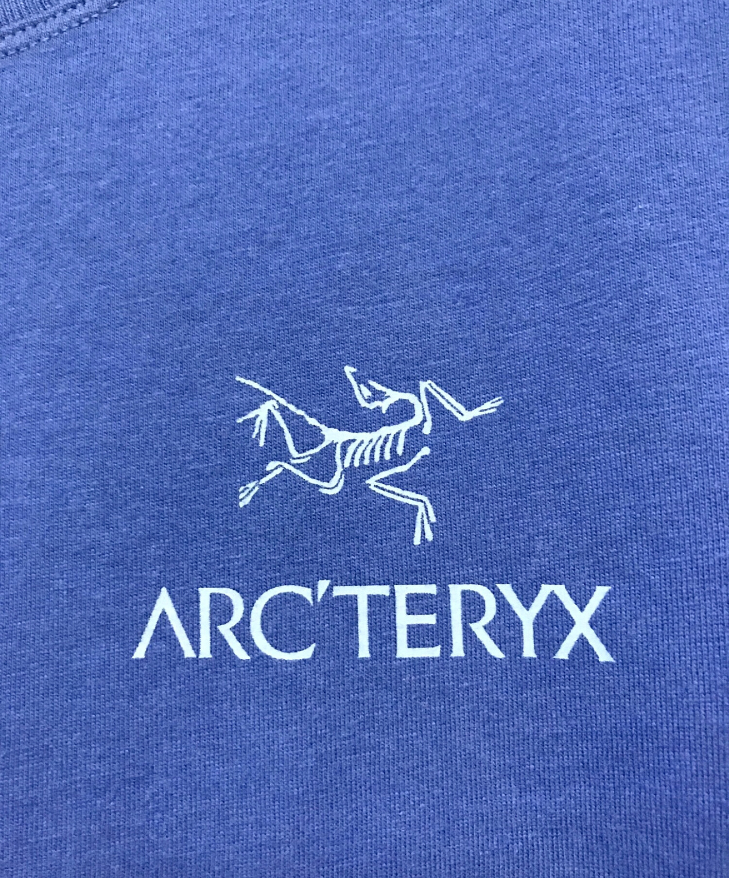 Arc'teryx　Sサイズ　旧ロゴ　ブルー 中古・古着通販】ARC'TERYX (アークテリクス) Emblem SS T-Shirt