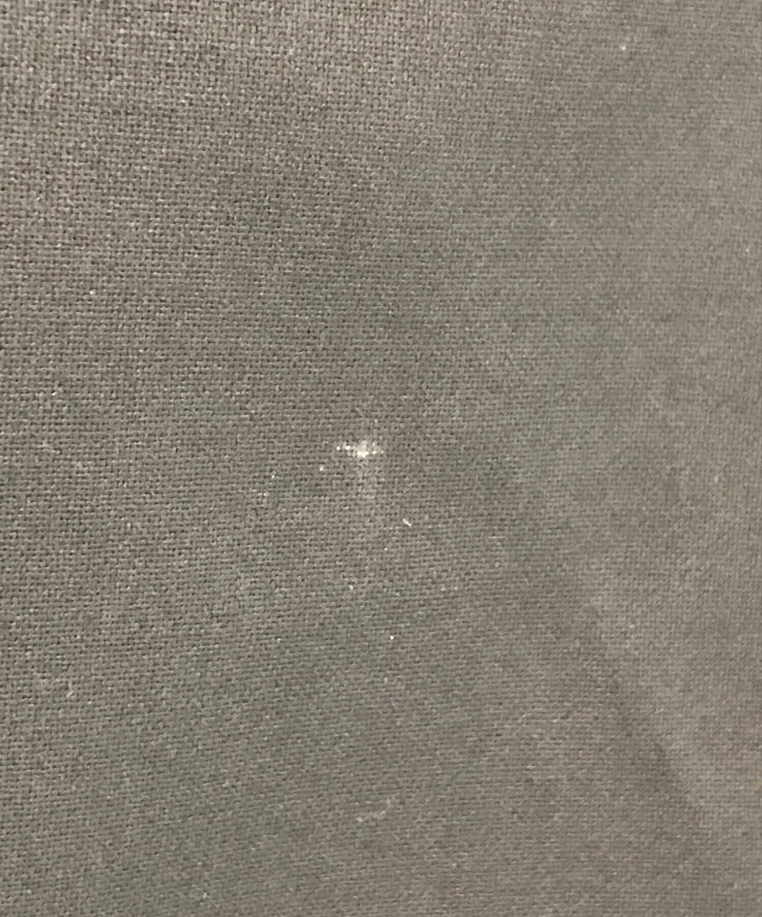 中古・古着通販】theory luxe (セオリーリュクス) VEVILA L EXECUTIVE