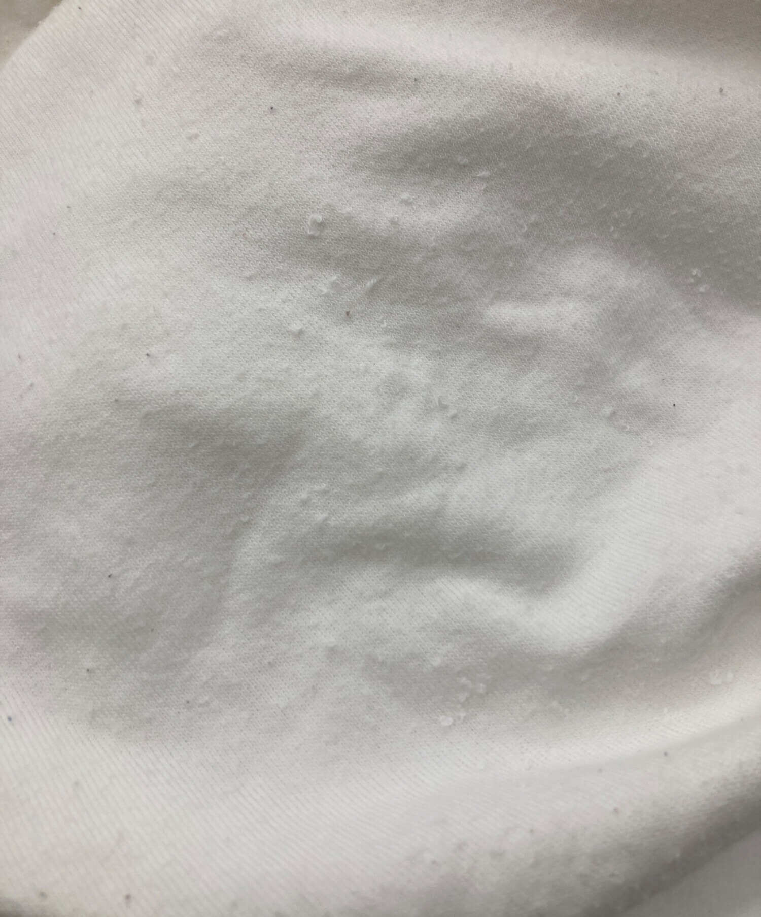 中古・古着通販】POLO RALPH LAUREN (ポロ・ラルフローレン) パイル