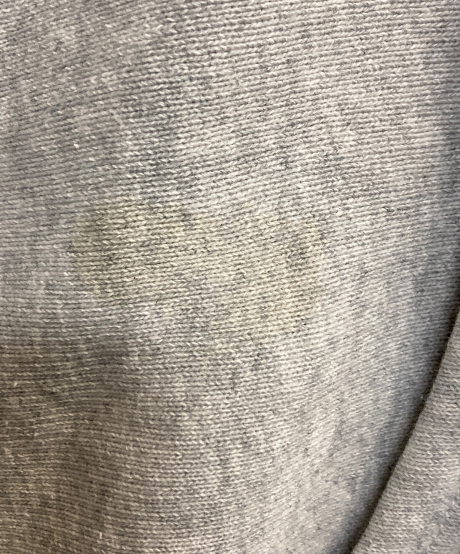 中古・古着通販】Champion REVERSE WEAVE (チャンピオン リバース 
