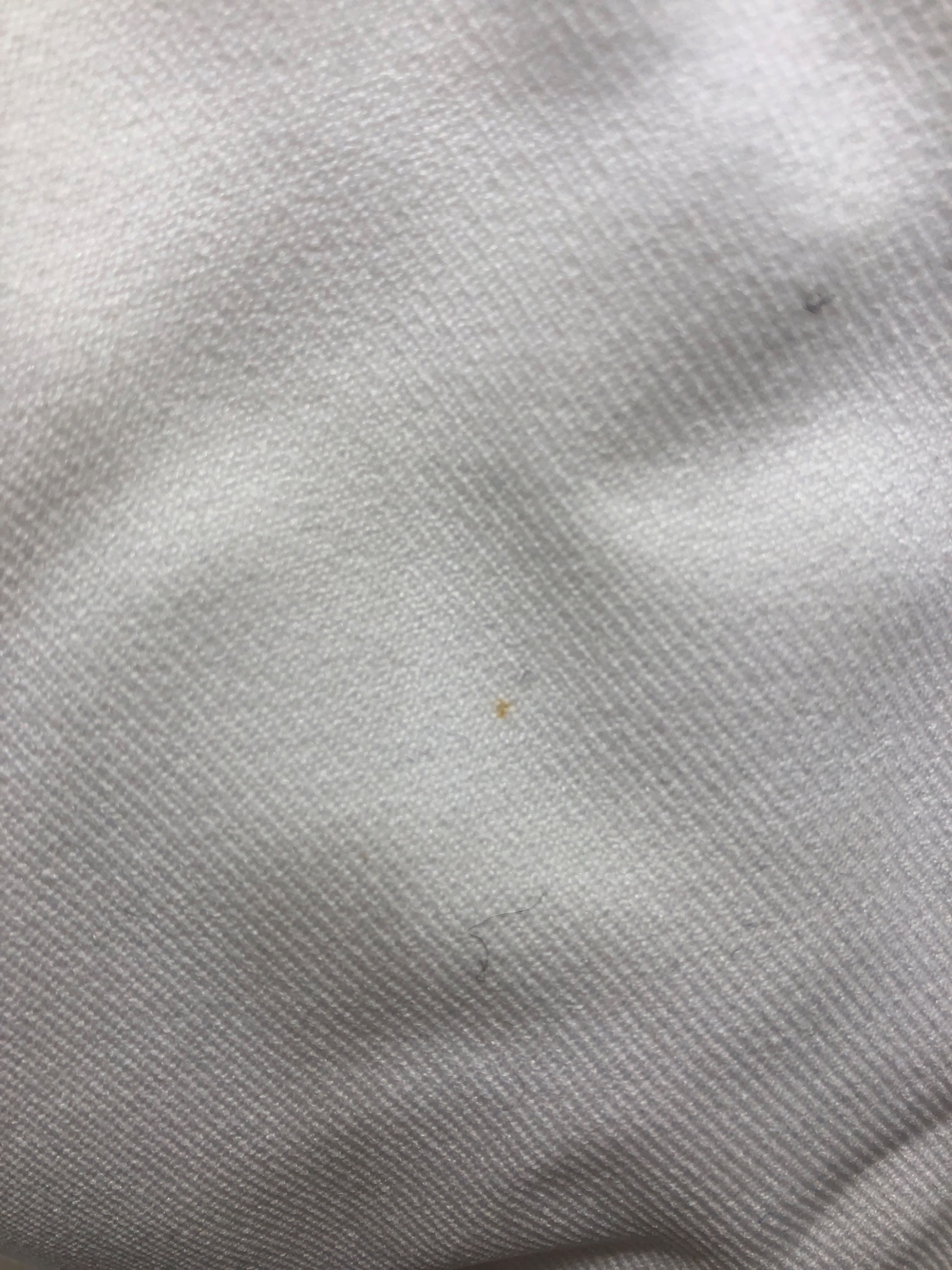 JNBY ダウンコート　ホワイト ANDGEEBEE（アンジービー） ダウンコート ダウンジャケット フーディー