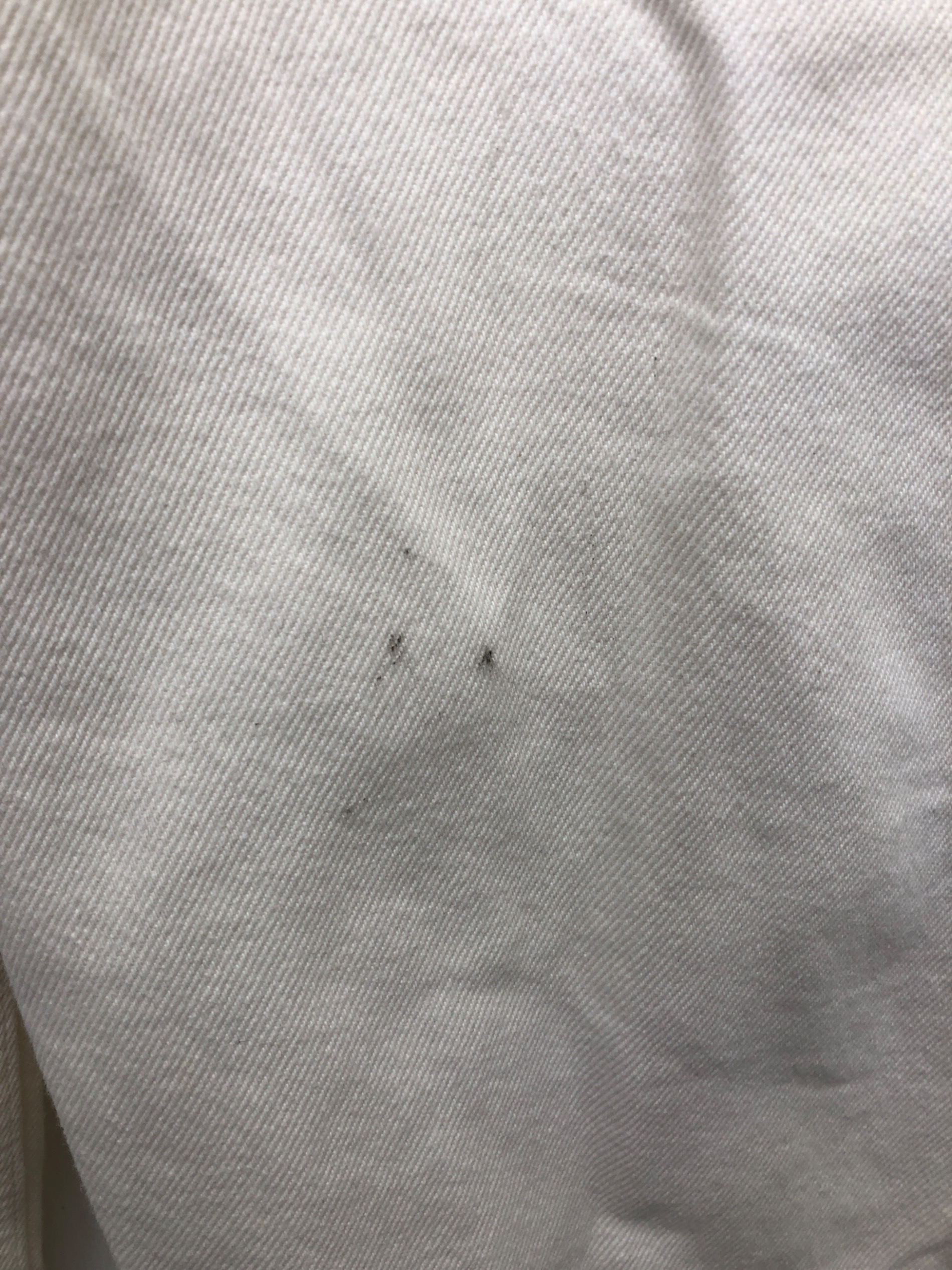 中古・古着通販】ZARA (ザラ) STUDIO NICHOLSON (スタジオ ニコルソン