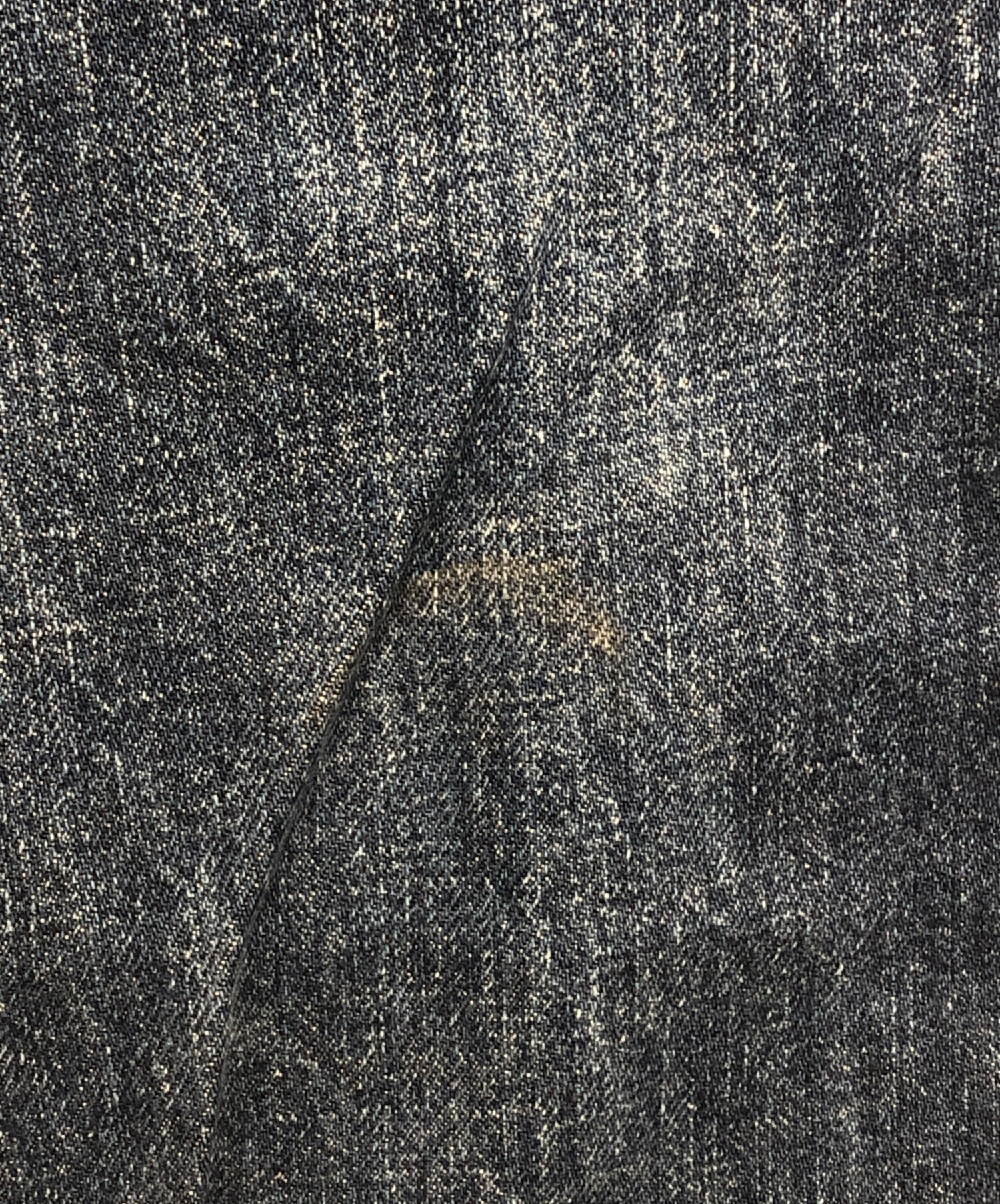 中古・古着通販】EVISU (エビス) 漢字戎カモメデニムパンツ インディゴ 