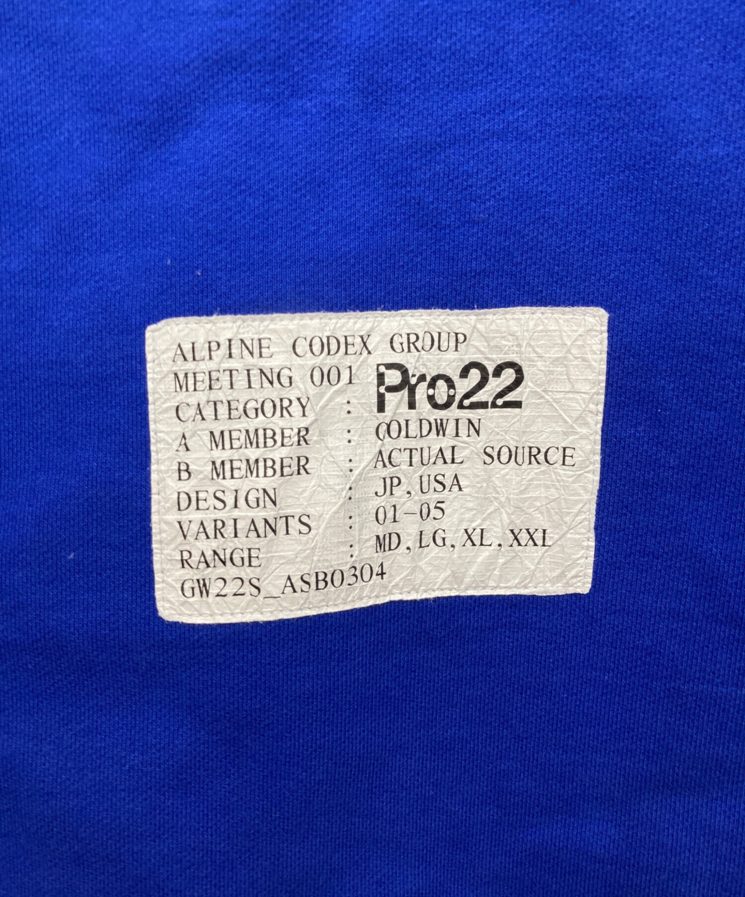 中古・古着通販】GOLDWIN (ゴールドウイン) Alpine Codex Group Crew