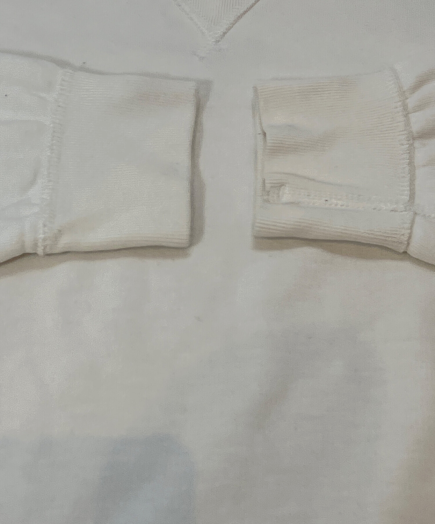 中古・古着通販】POLO RALPH LAUREN (ポロ・ラルフローレン) 両V
