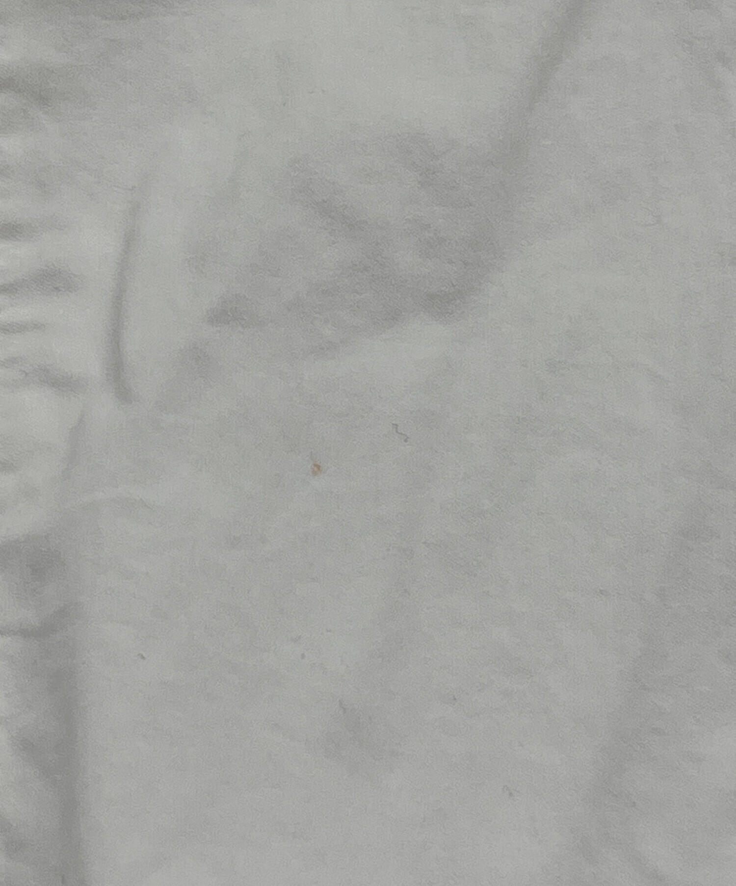 中古・古着通販】soyy (ソイ) carolyn shirt / 長袖シャツ ホワイト