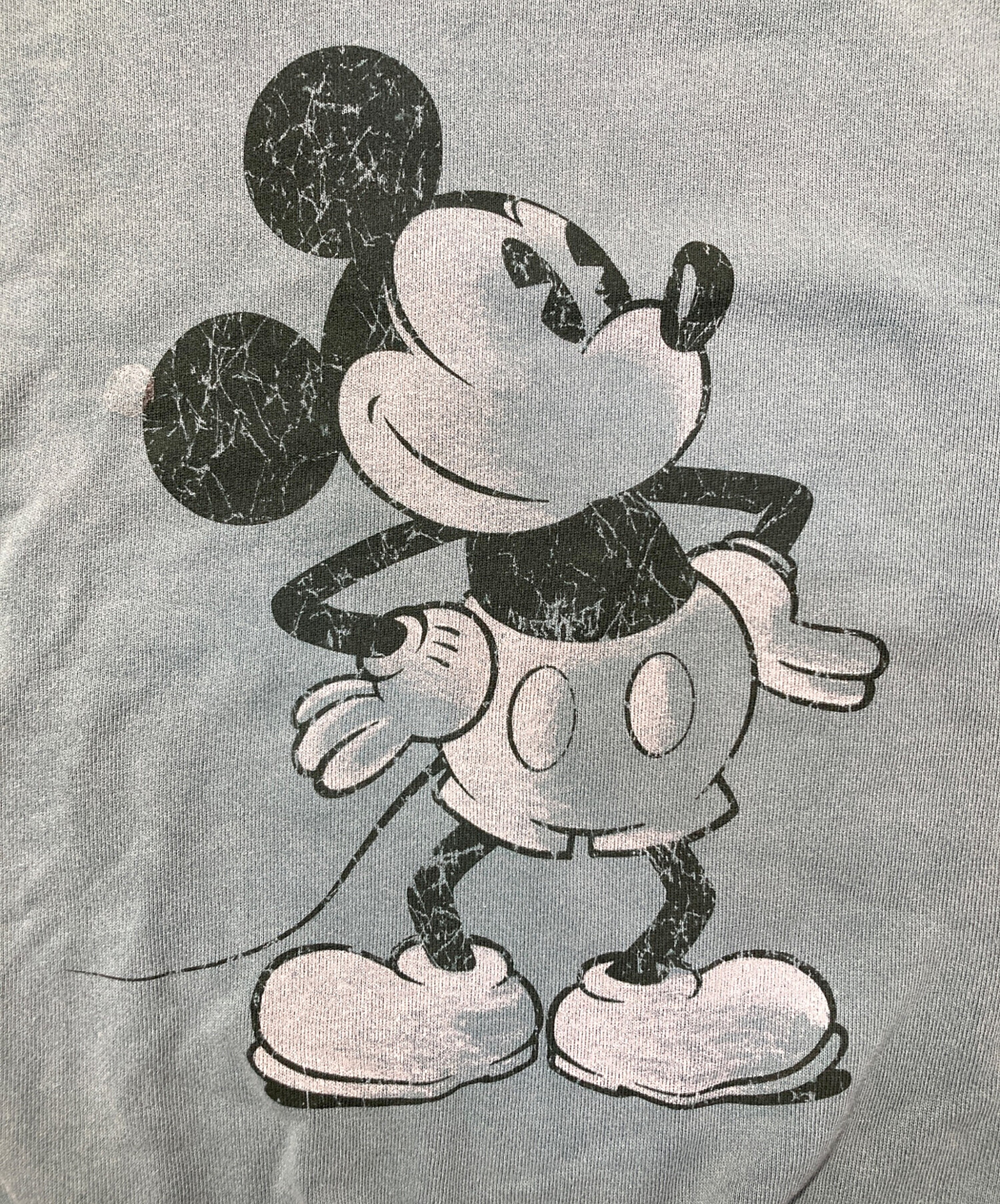 中古・古着通販】THE Disney Store (ザ ディズニー ストア) スウェット 