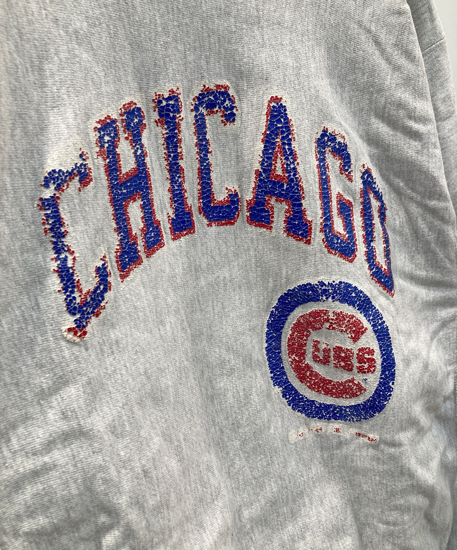 中古・古着通販】Champion REVERSE WEAVE (チャンピオン リバース