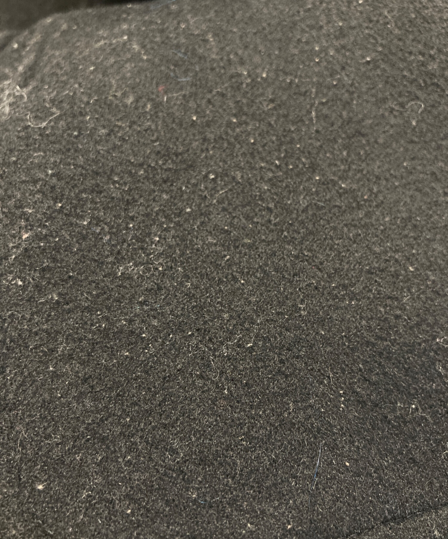 中古・古着通販】Ron Herman (ロンハーマン) レッキスファー ロング