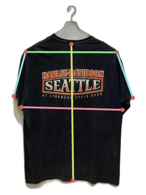 中古・古着通販】HARLEY-DAVIDSON (ハーレーダビッドソン) 両面