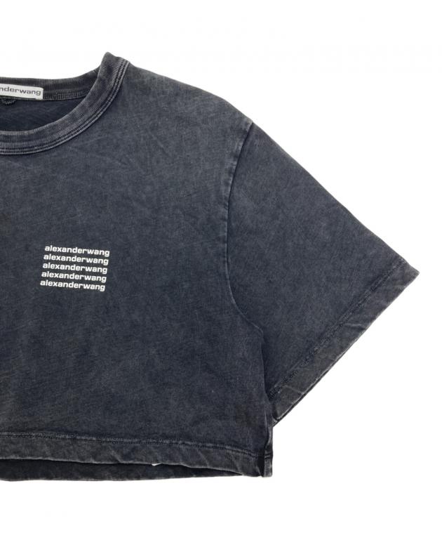 中古・古着通販】ALEXANDER WANG (アレキサンダー・ワン) アシッド
