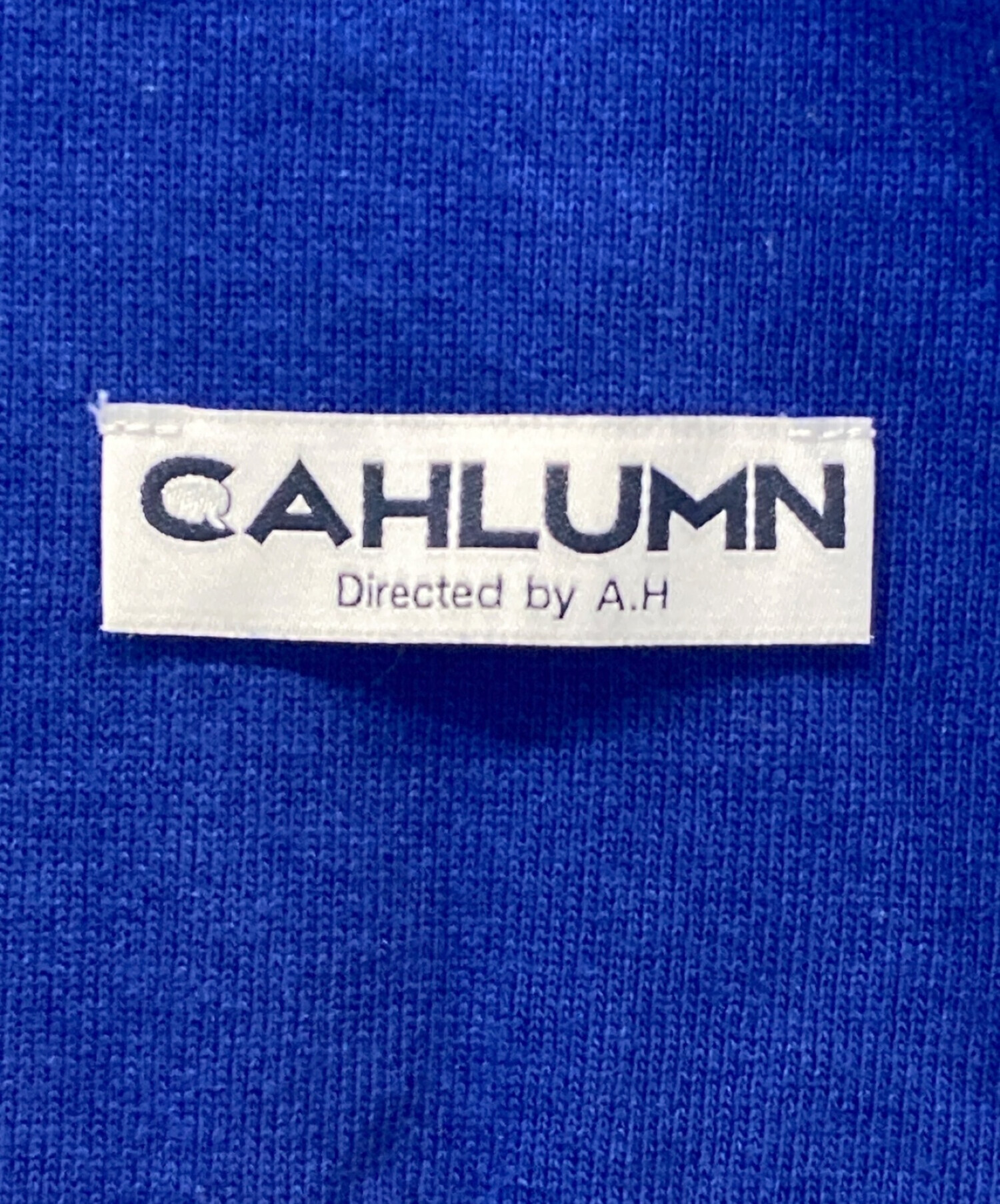 中古・古着通販】CAHLUMN (カウラム) ロングスリーブカットソー ブルー 