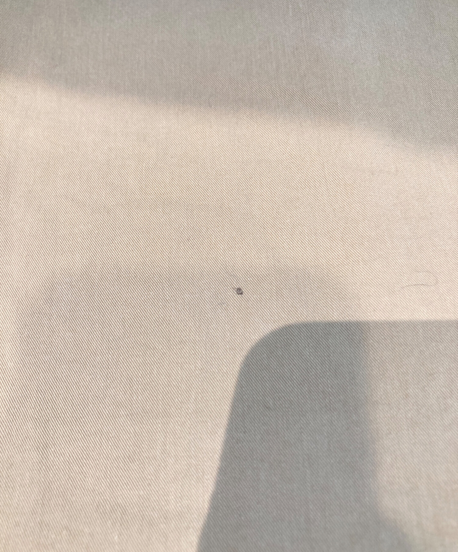 サブカルチャー　ベージュ チノパン COLLECTION LINE] Fxxkアイビーニュークラシックコットンチノパン