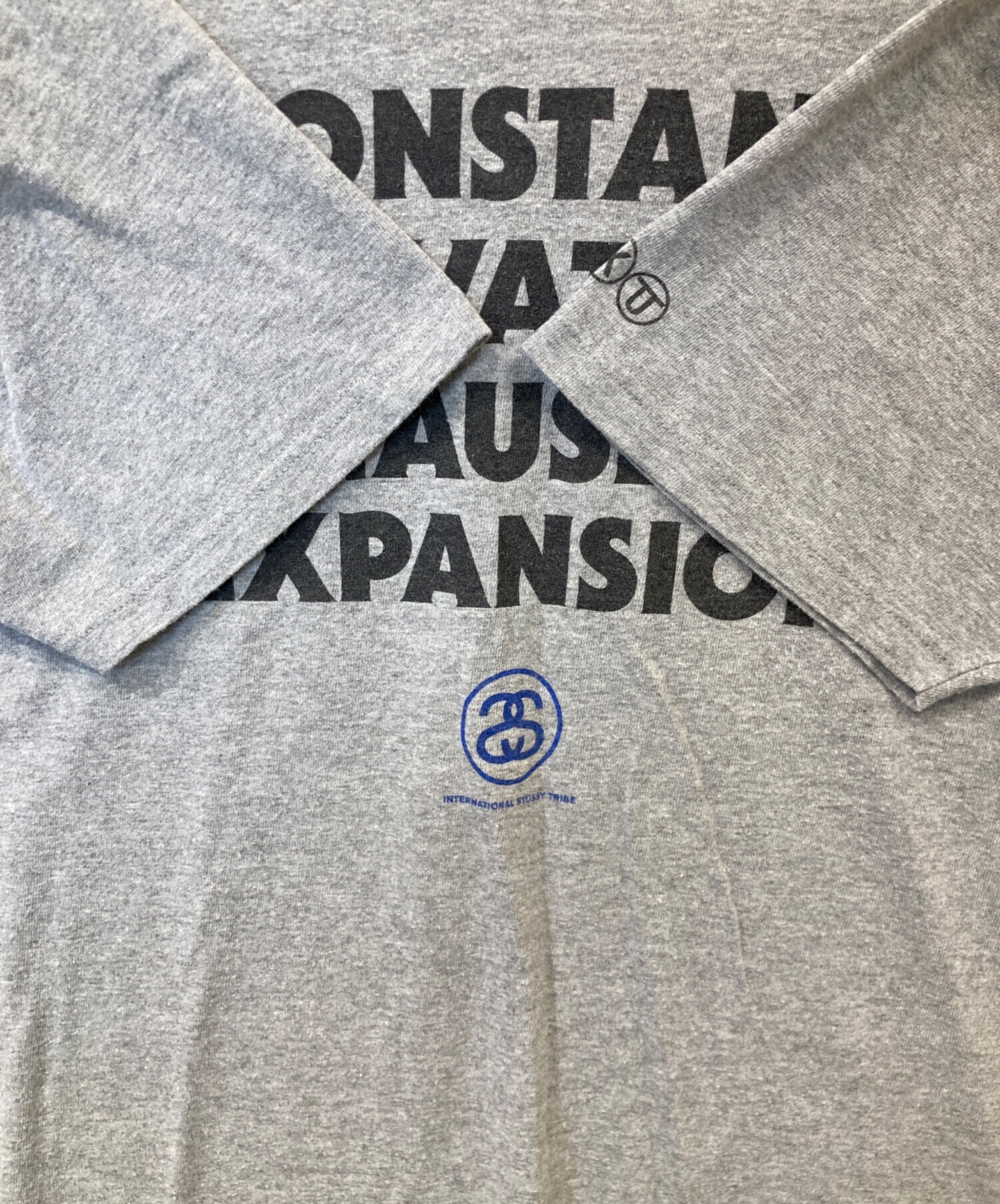 中古・古着通販】stussy (ステューシー) プリントTシャツ グレー