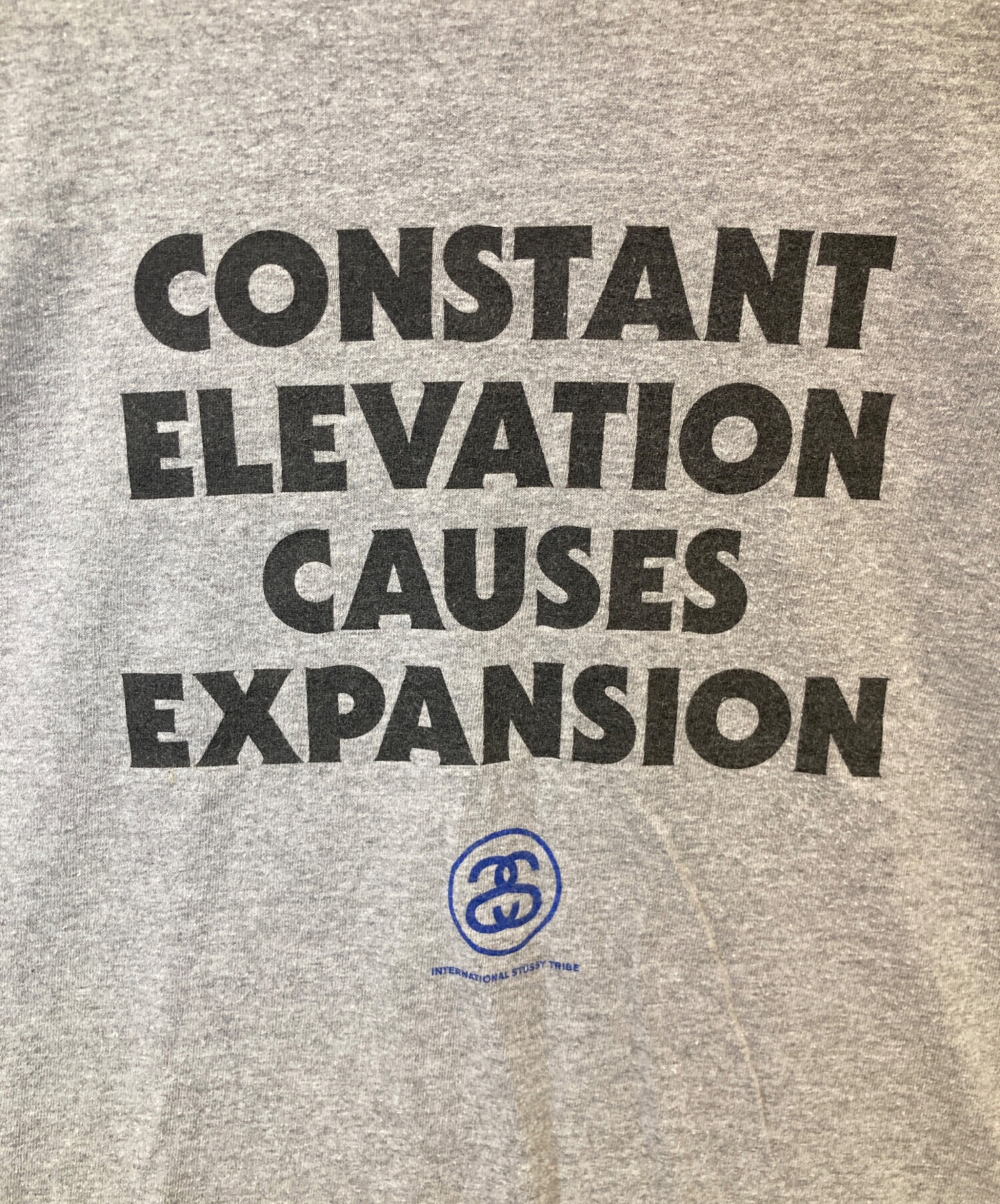 中古・古着通販】stussy (ステューシー) プリントTシャツ グレー