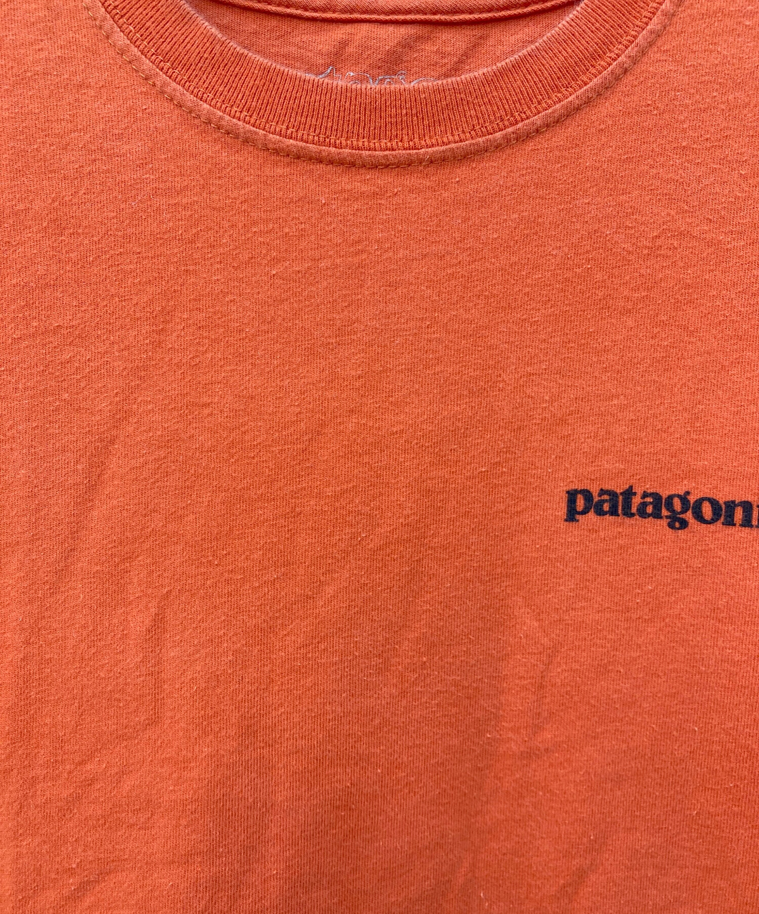 中古・古着通販】Patagonia (パタゴニア) プリントTシャツ オレンジ