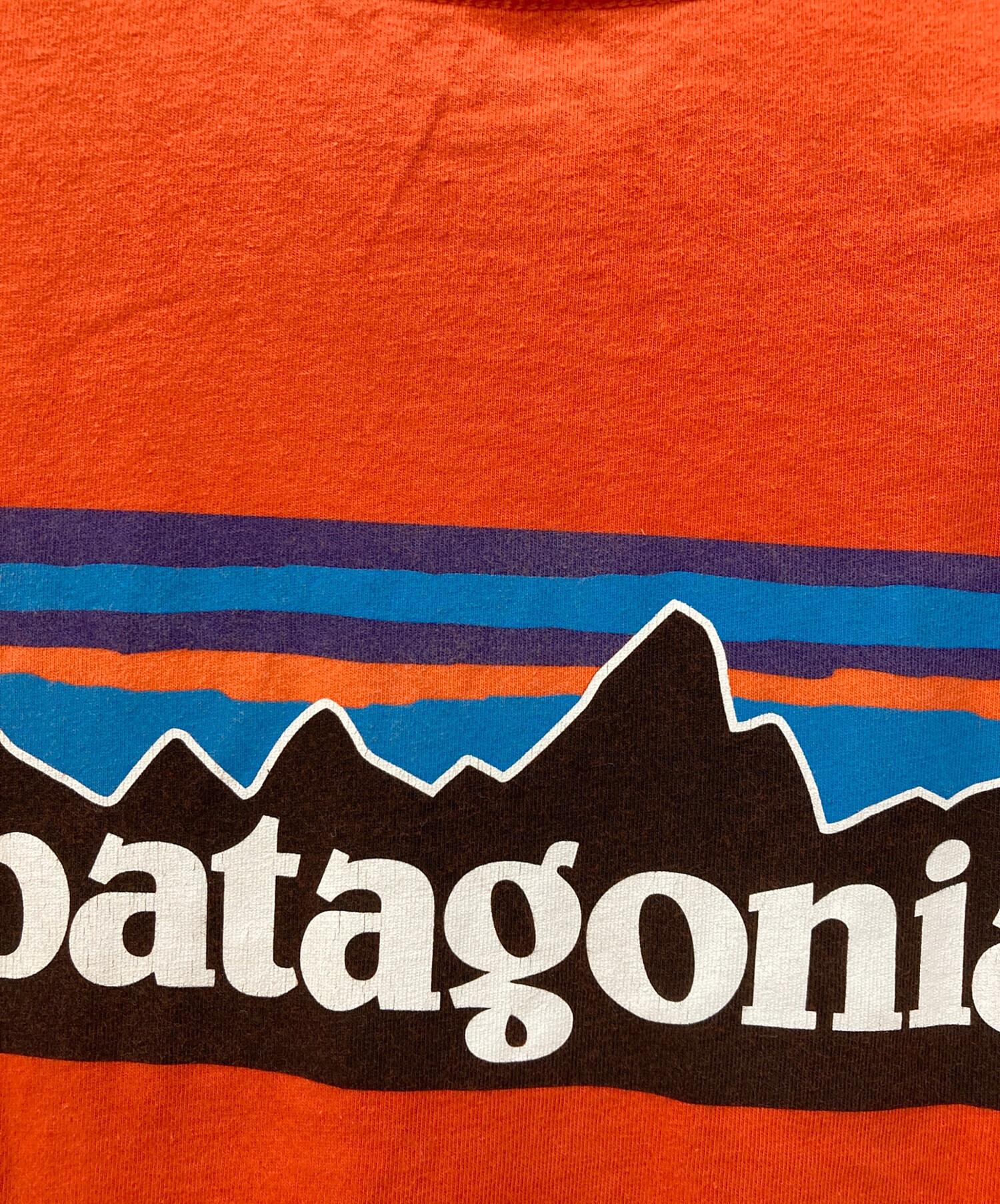 中古・古着通販】Patagonia (パタゴニア) プリントTシャツ オレンジ