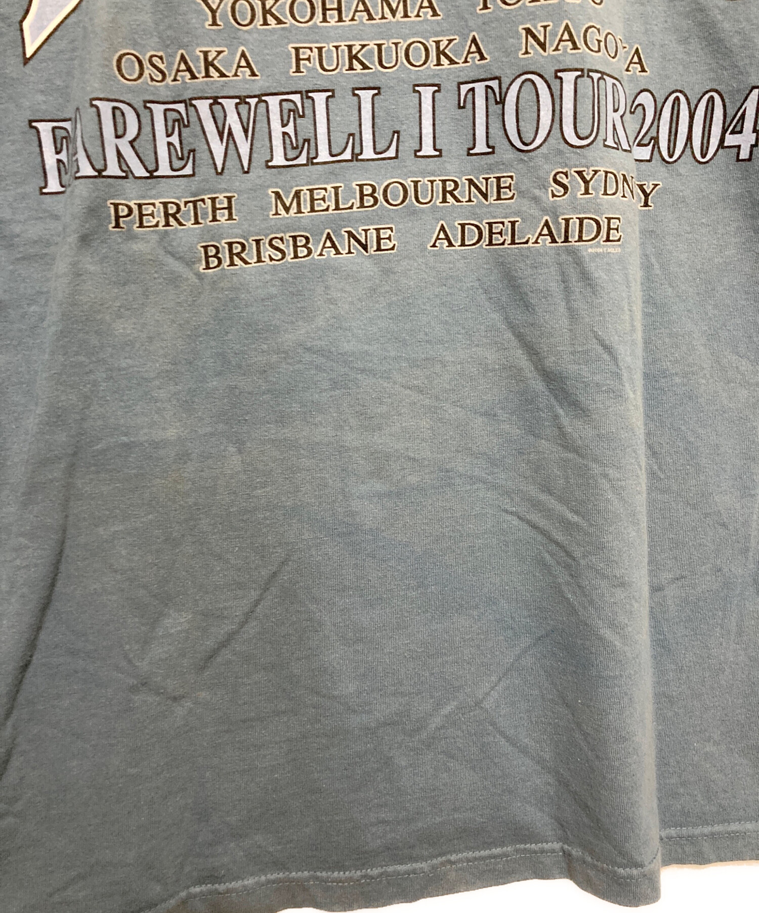 中古・古着通販】anvil (アンヴィル) 00'sプリントTシャツ ブルー