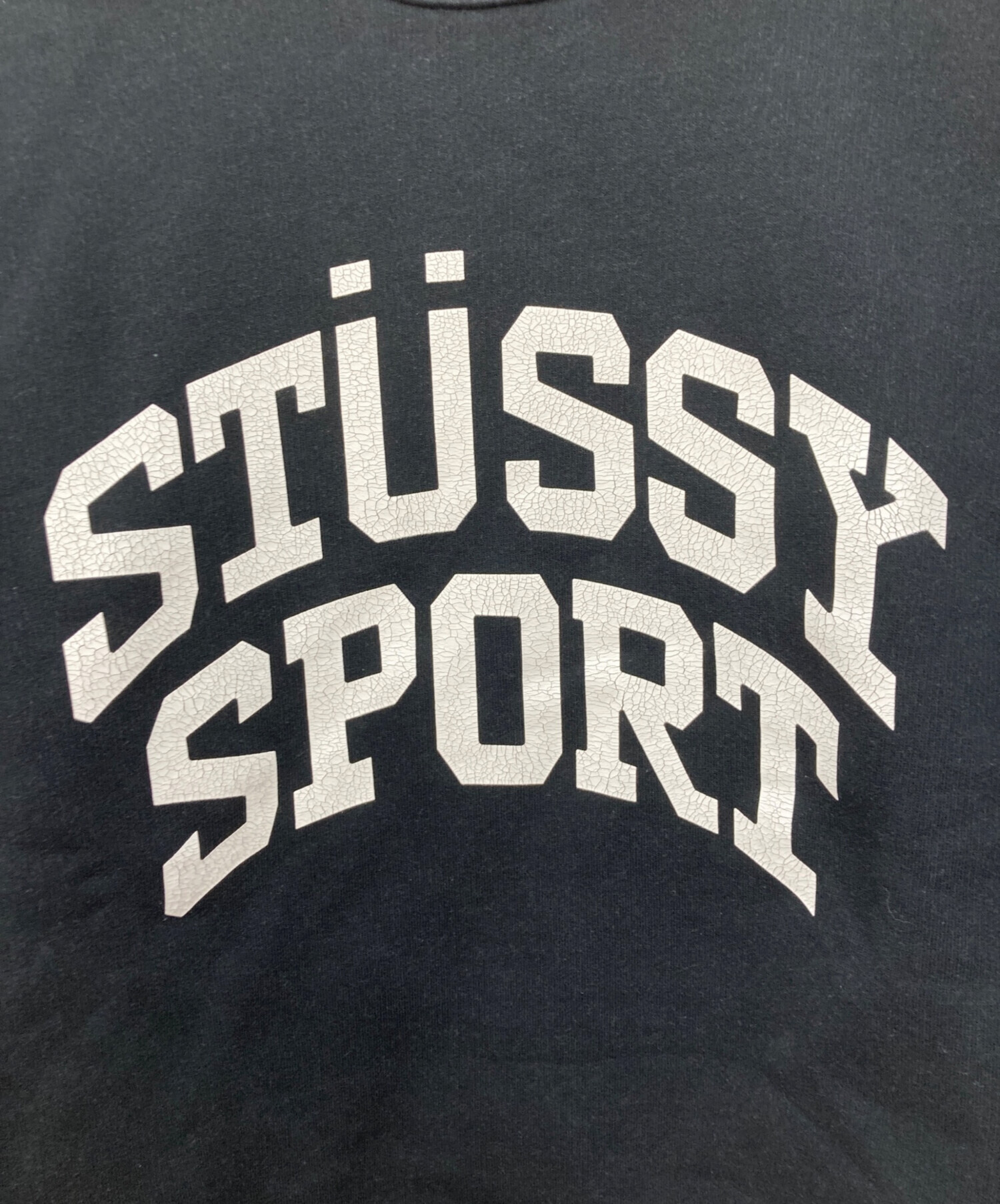 中古・古着通販】stussy (ステューシー) Big Crackle Sport Crewneck