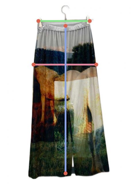 中古・古着通販】AMERI (アメリ) Silvia Conde Oliván VELOUR SKIRT