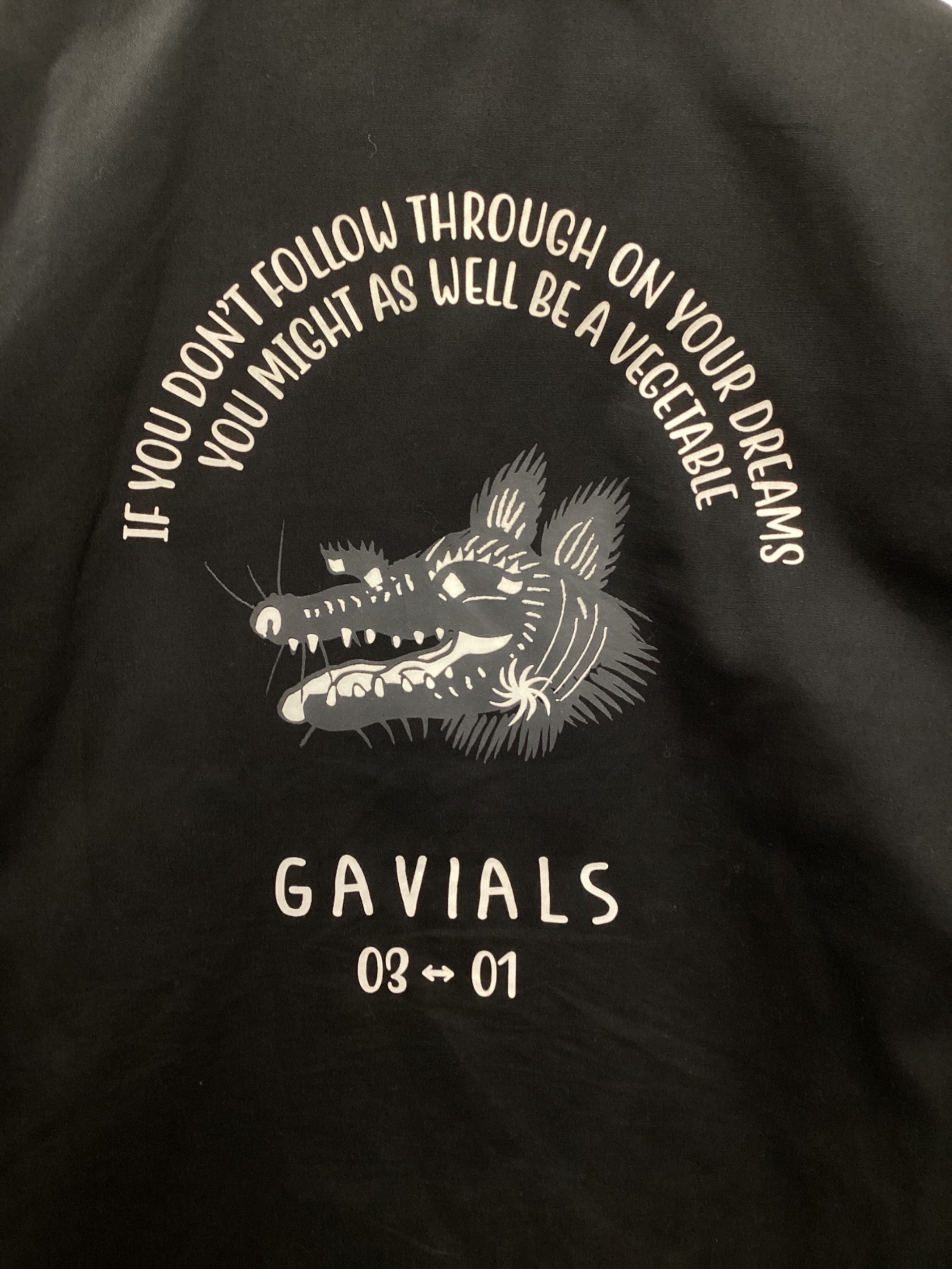 gavial ガレージ　ナイロン　ブルゾン GVAIAL GARAGE, coach jacket “GGG”