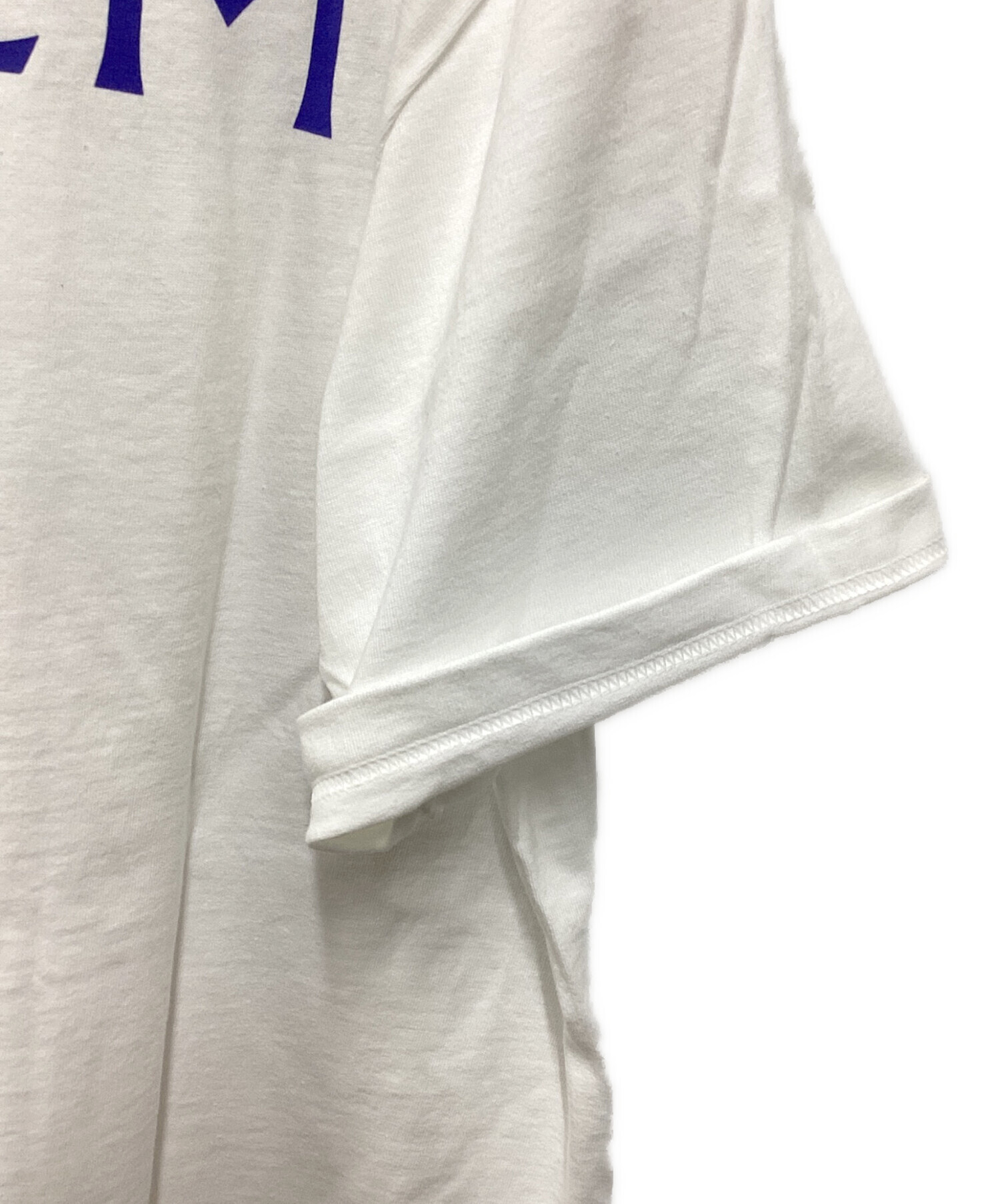 中古・古着通販】SUPREME (シュプリーム) Damien Hirst tee ホワイト 