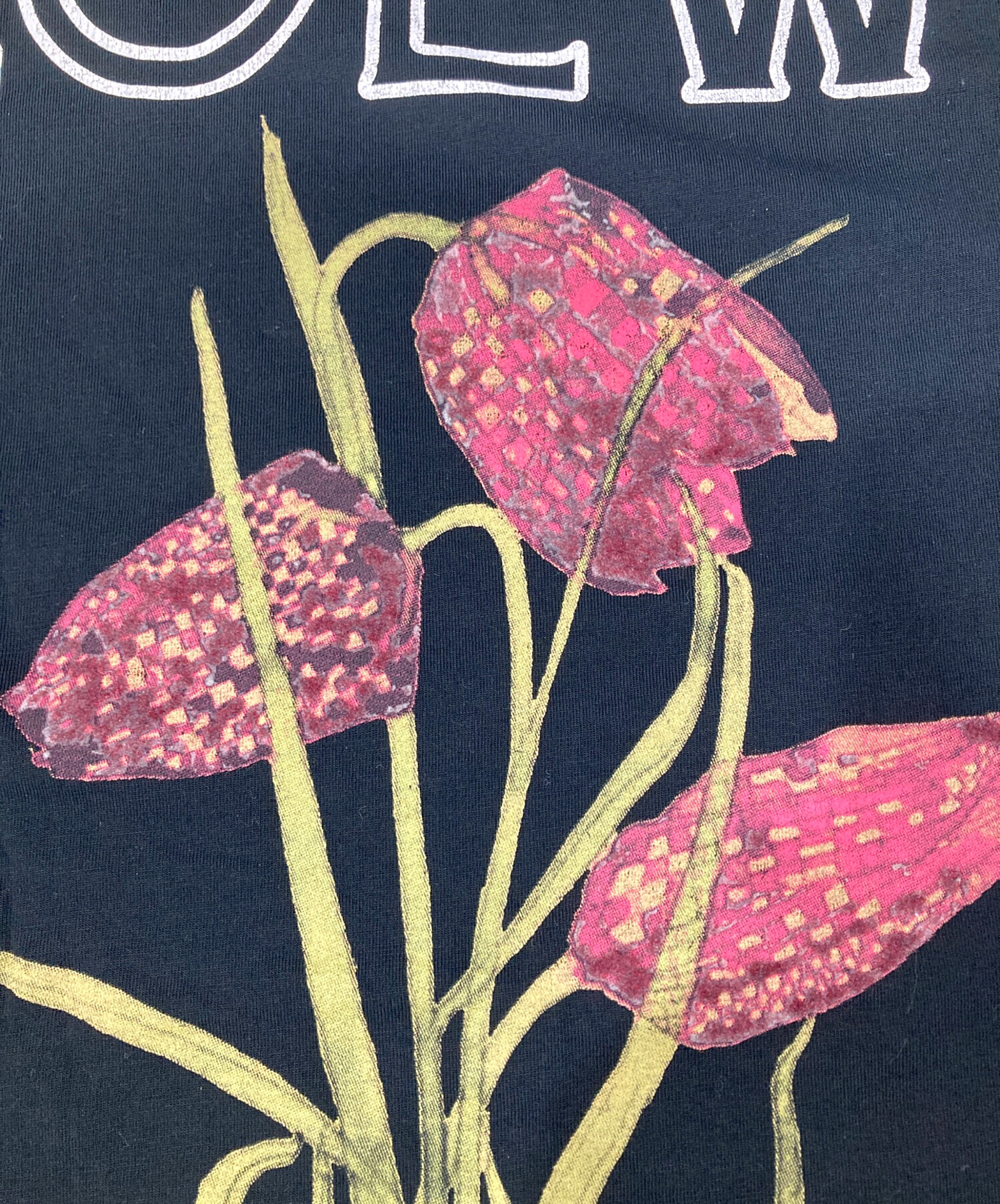 中古・古着通販】LOEWE (ロエベ) ボタニカルプリントTシャツ ブラック