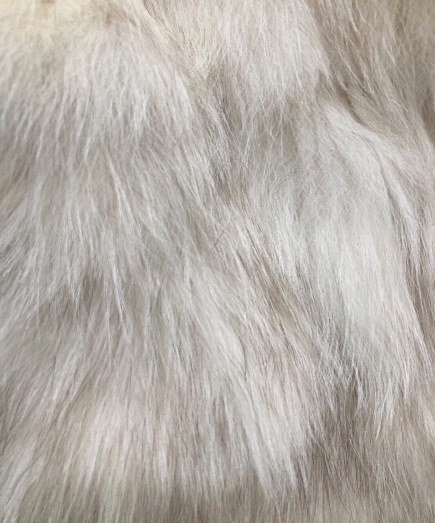 ピーチジョン ブルーフォックスファー ジップアップ コート 毛皮 羊革 M〜L ピーチジョン ブルーフォックスファー ジップアップ コート 毛皮 羊革