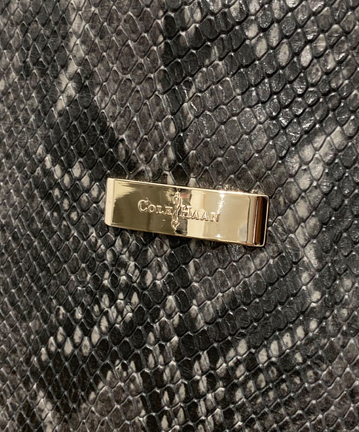 中古・古着通販】COLE HAAN (コールハーン) パイソンワンショルダー