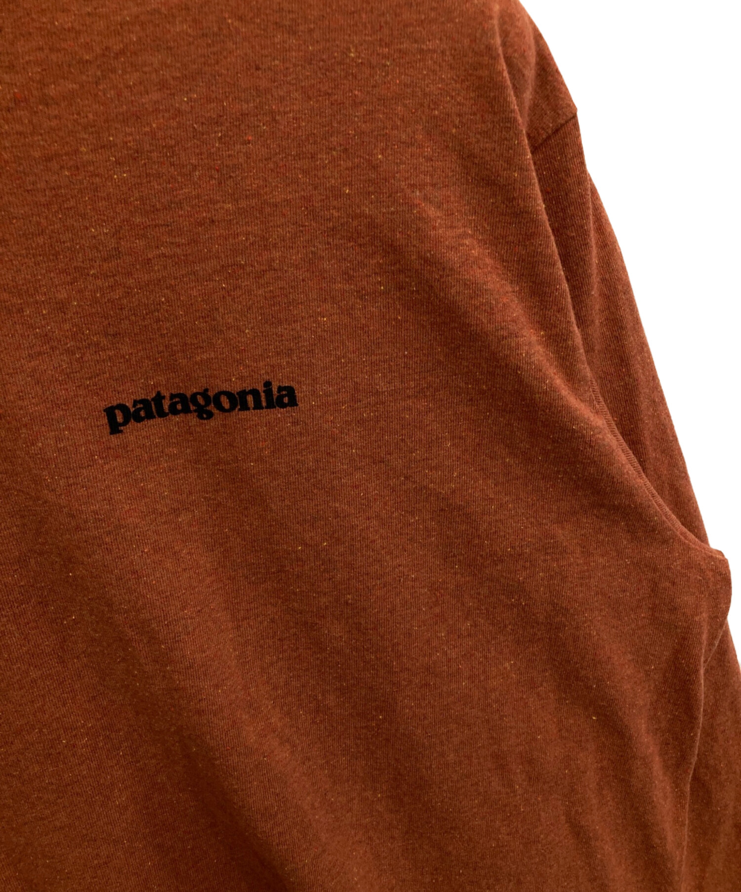 中古・古着通販】Patagonia (パタゴニア) 長袖カットソー オレンジ 