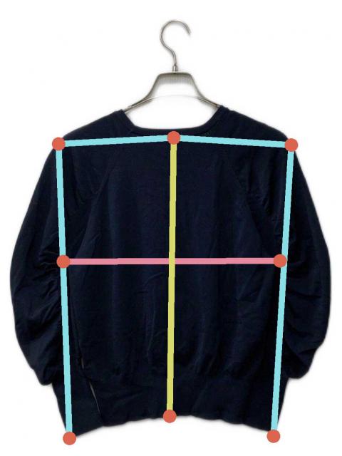 中古・古着通販】ANAYI (アナイ) レーヨンナイロン袖ギャザープル