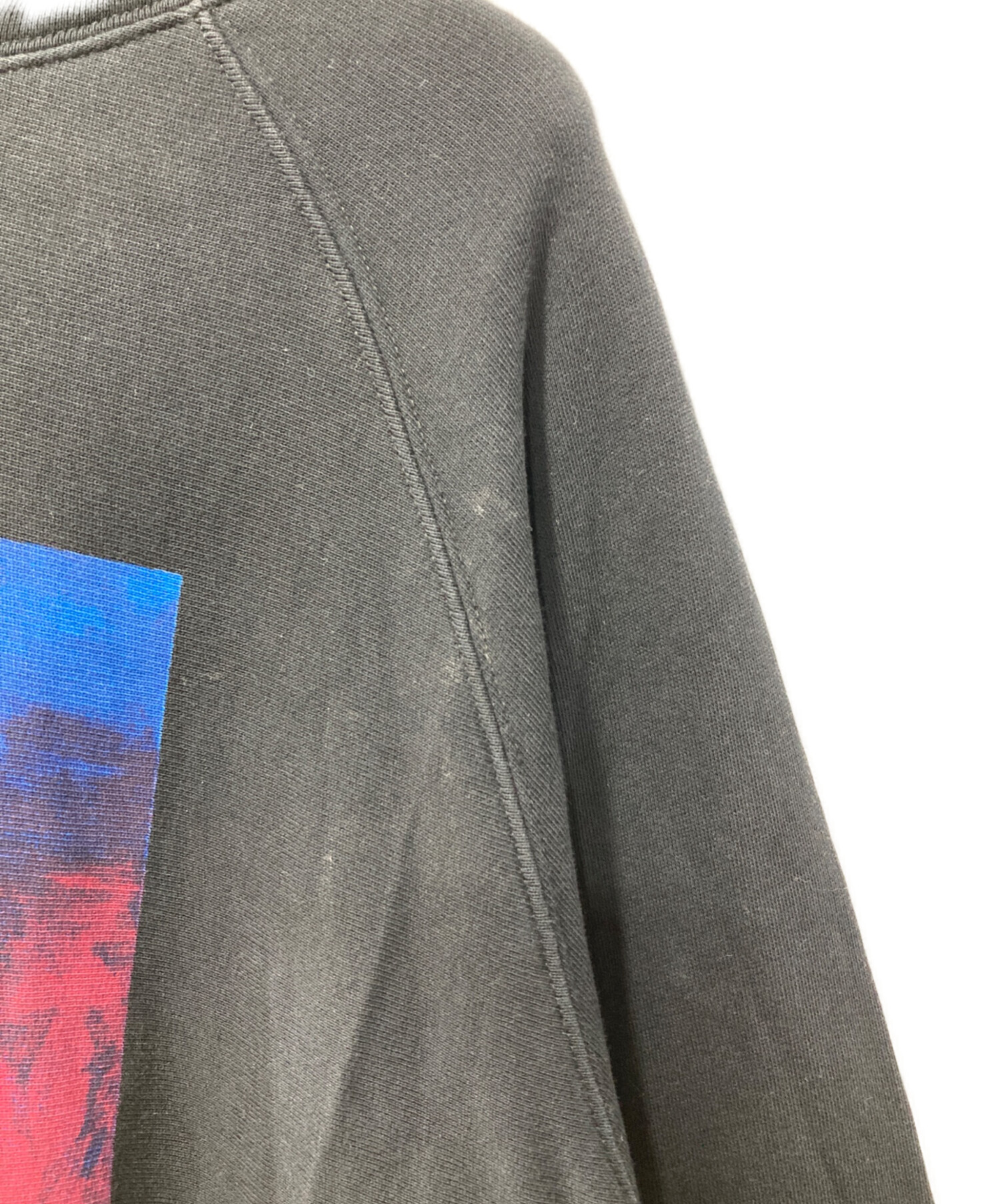 中古・古着通販】HERON PRESTON (ヘロンプレストン) プリントパーカー
